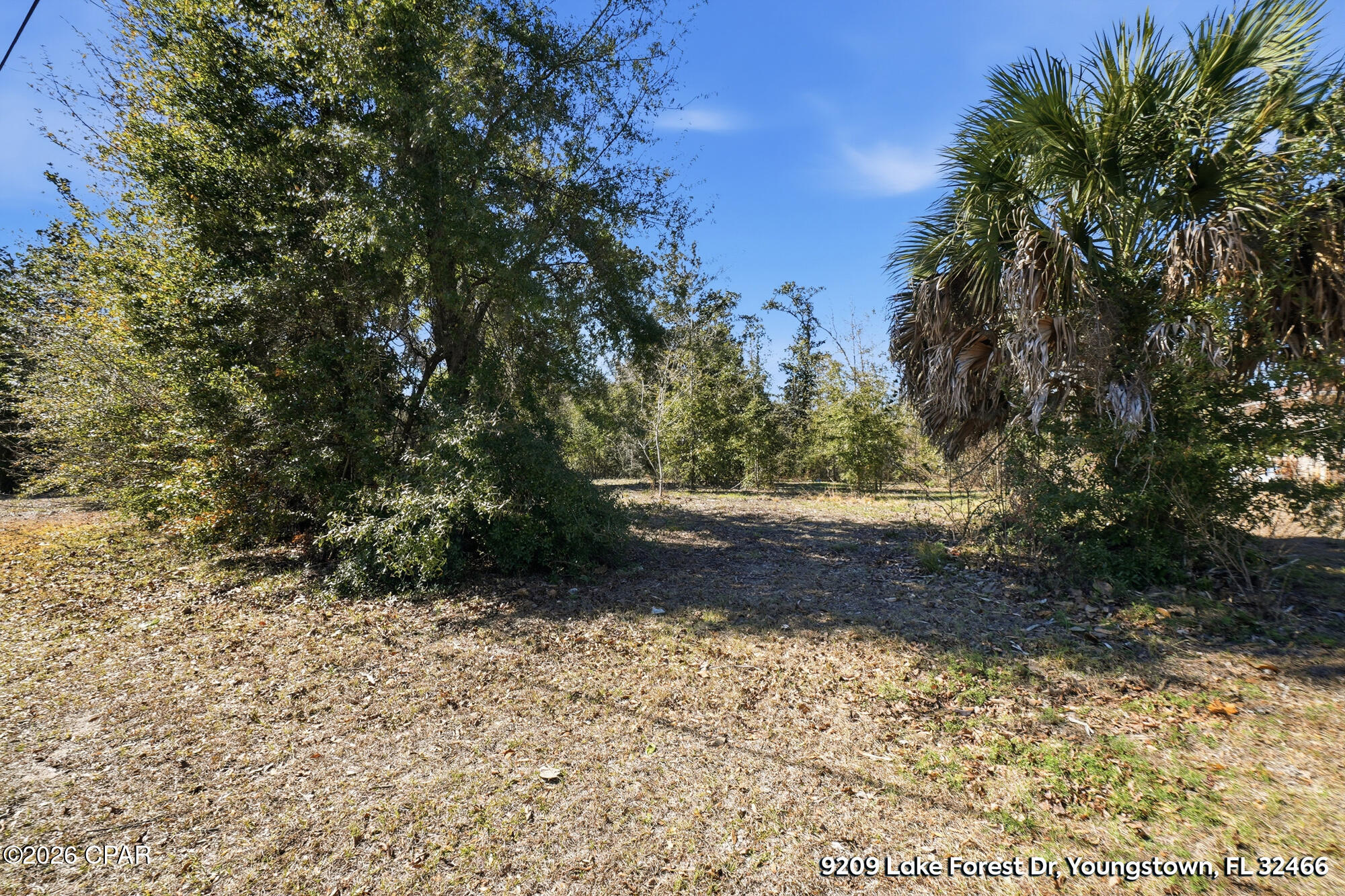main property photo 12