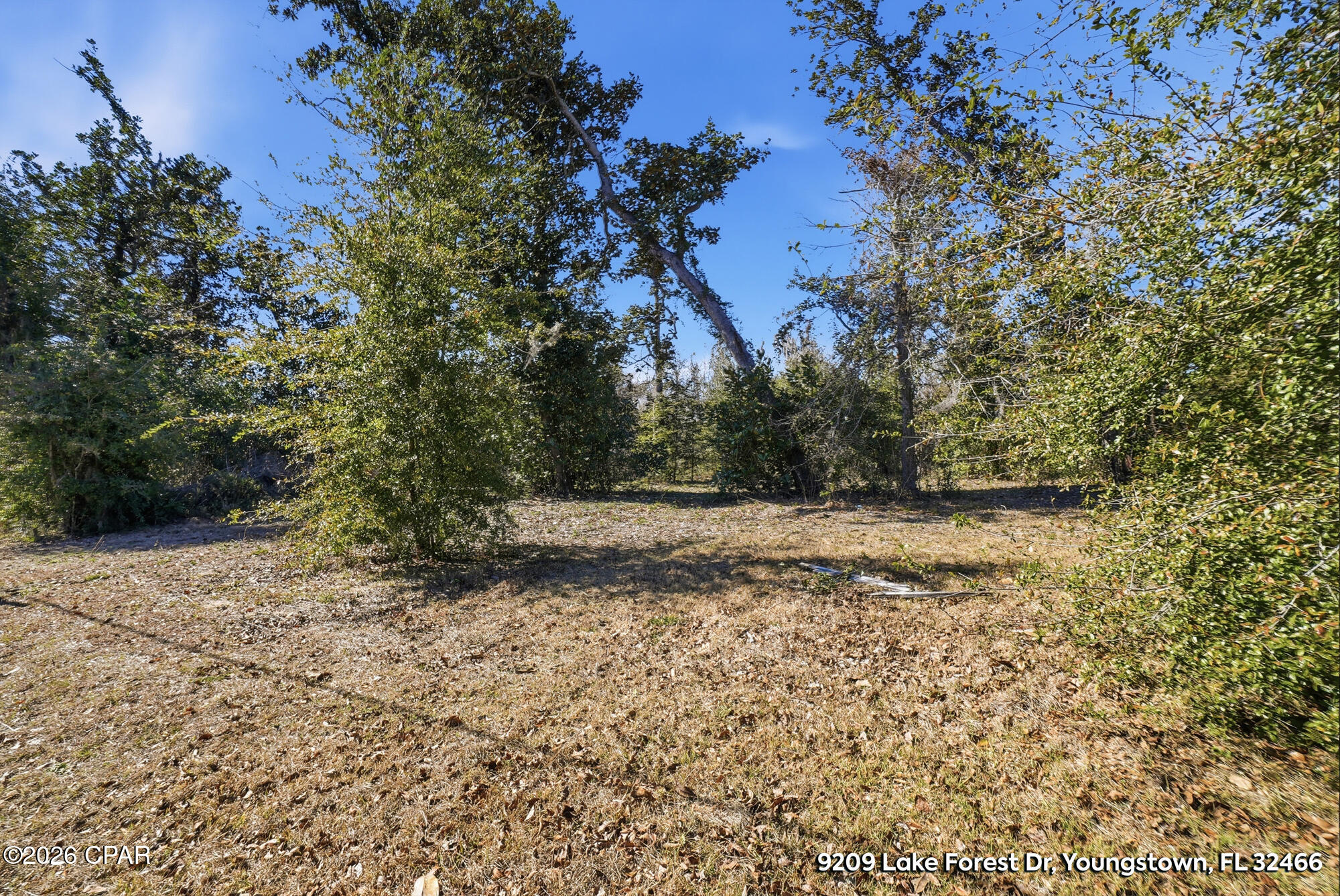 main property photo 13
