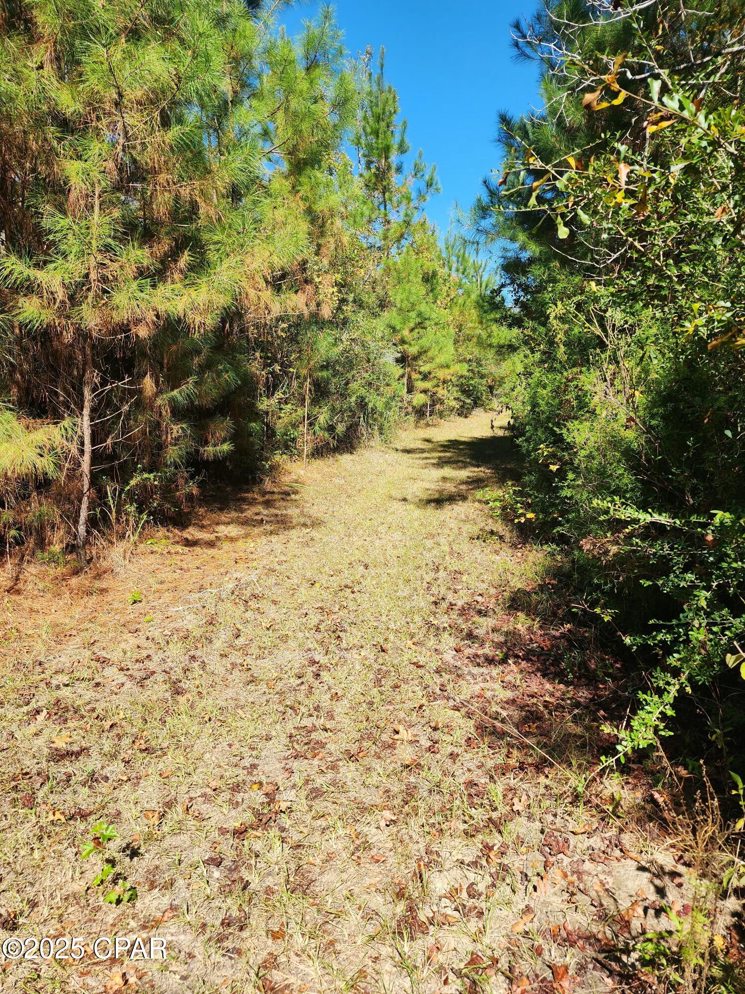 main property photo 26