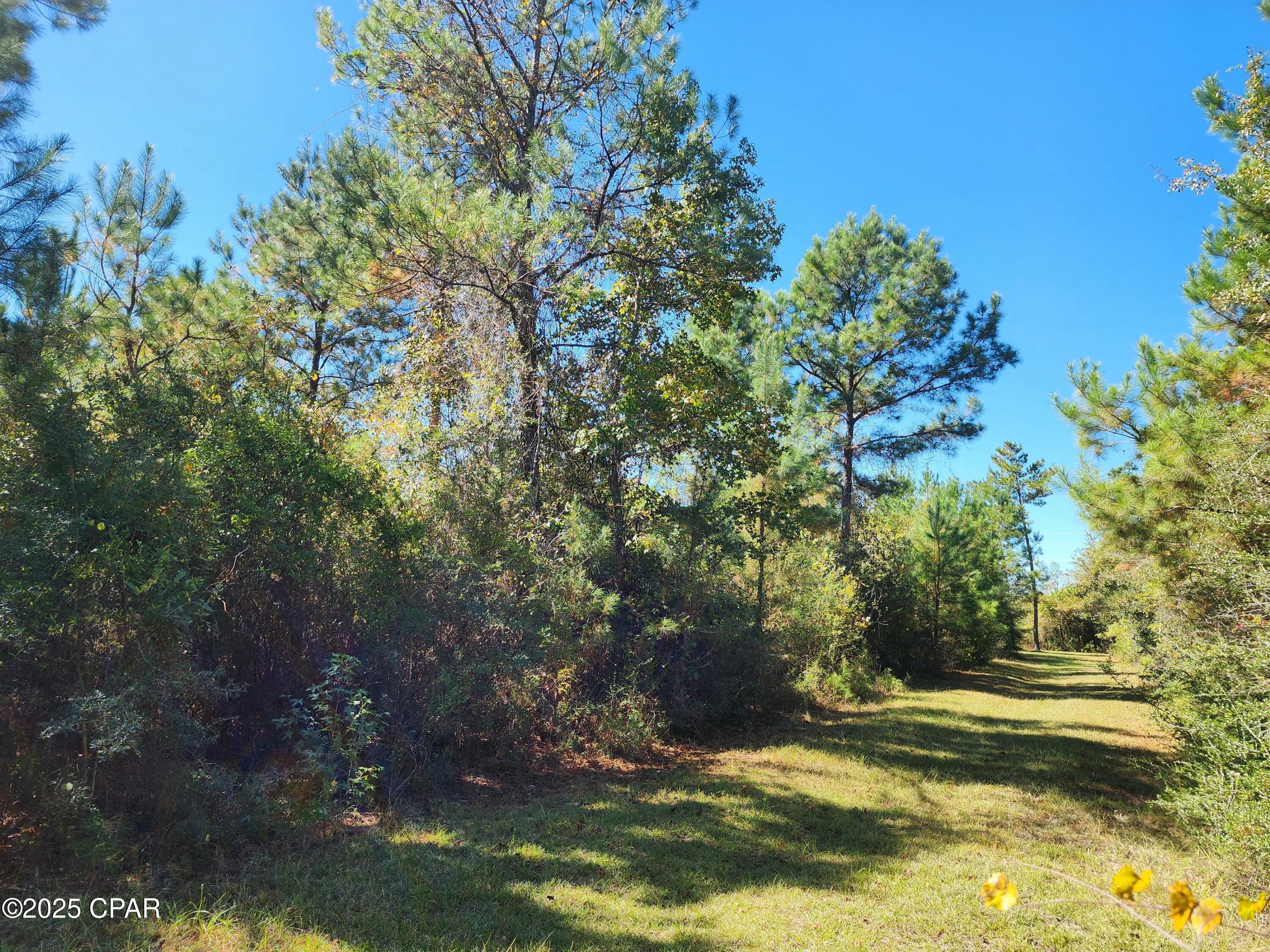 main property photo 27