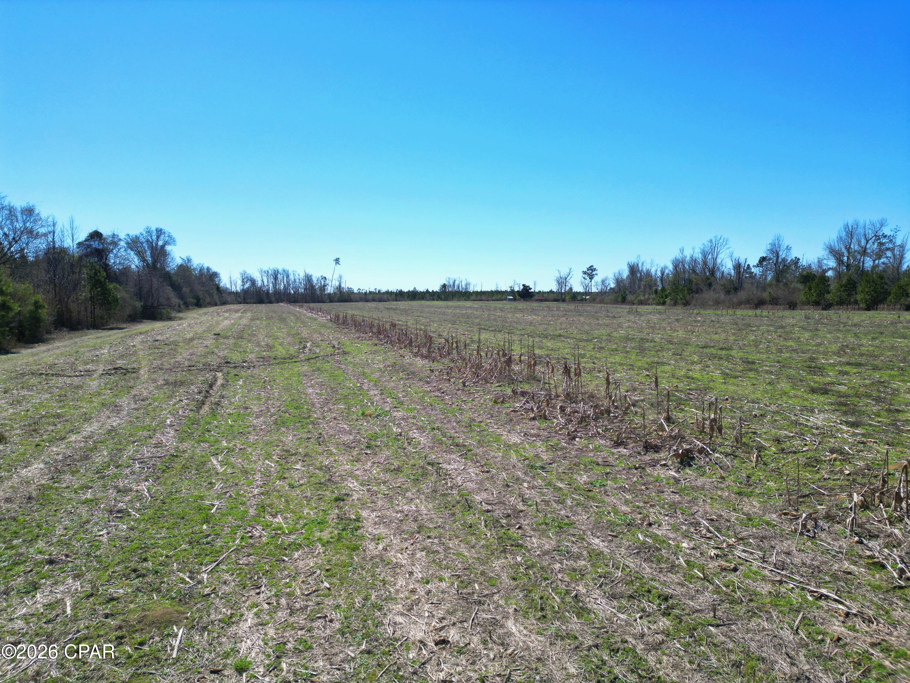main property photo 9