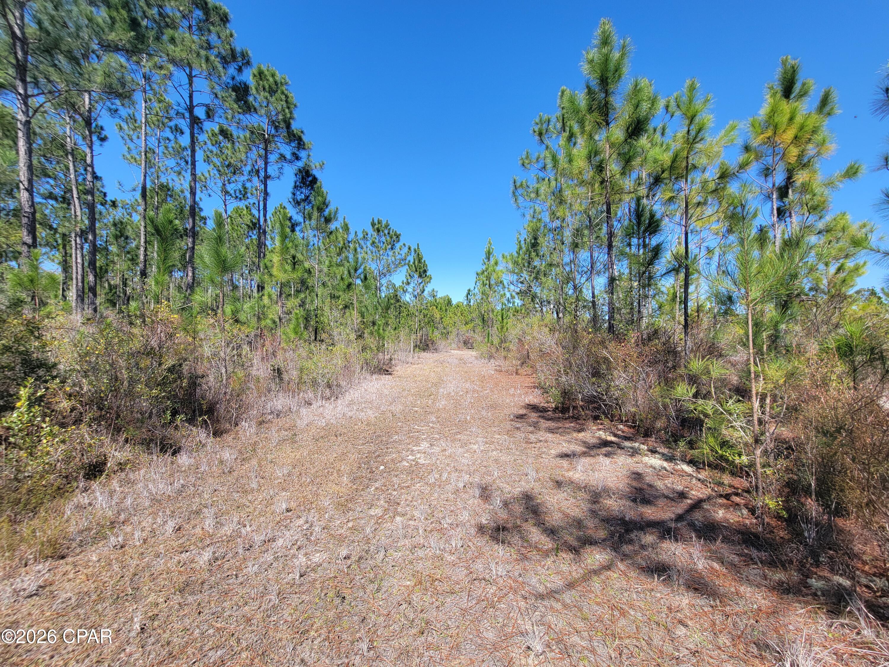 main property photo 10