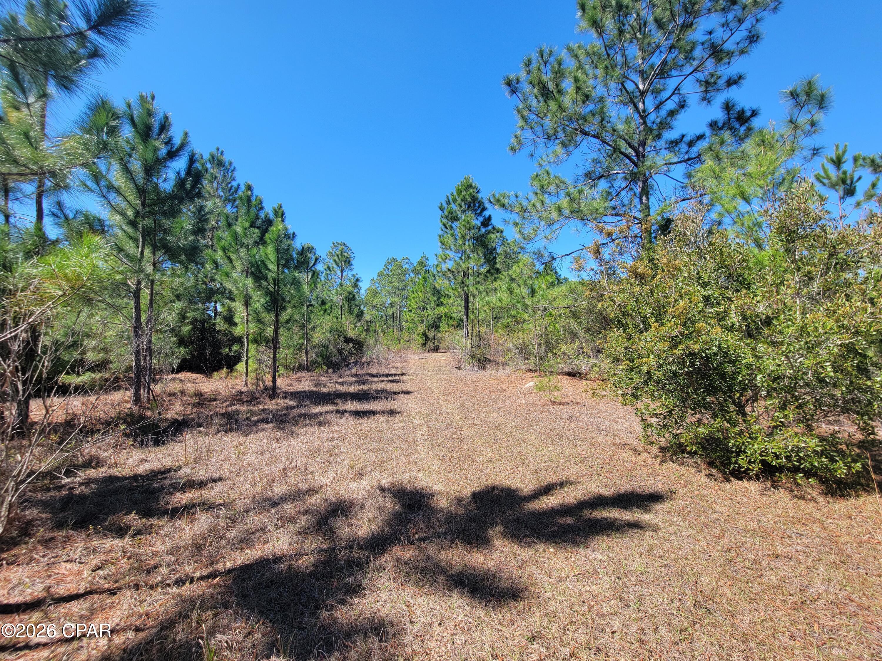 main property photo 11
