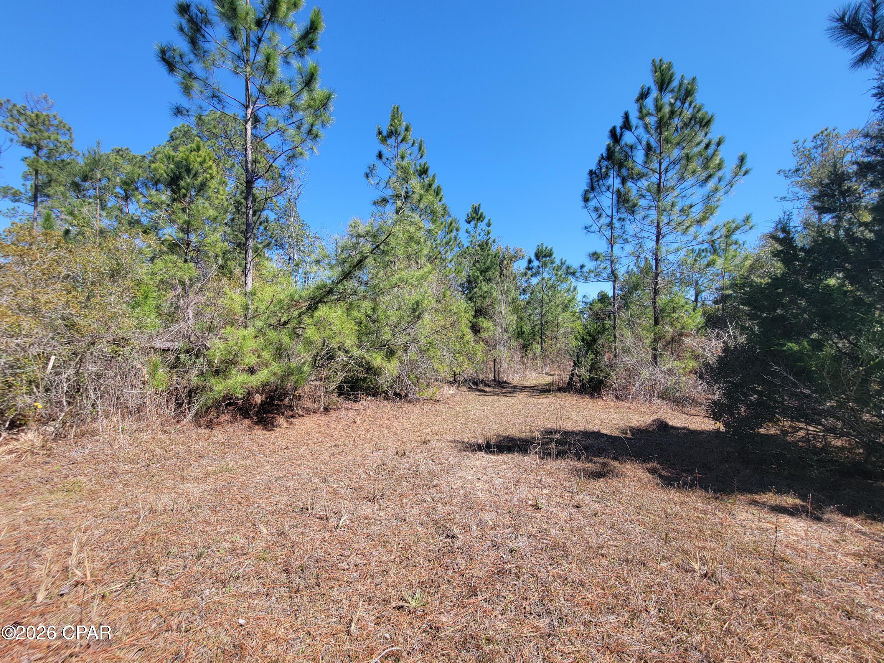 main property photo 12