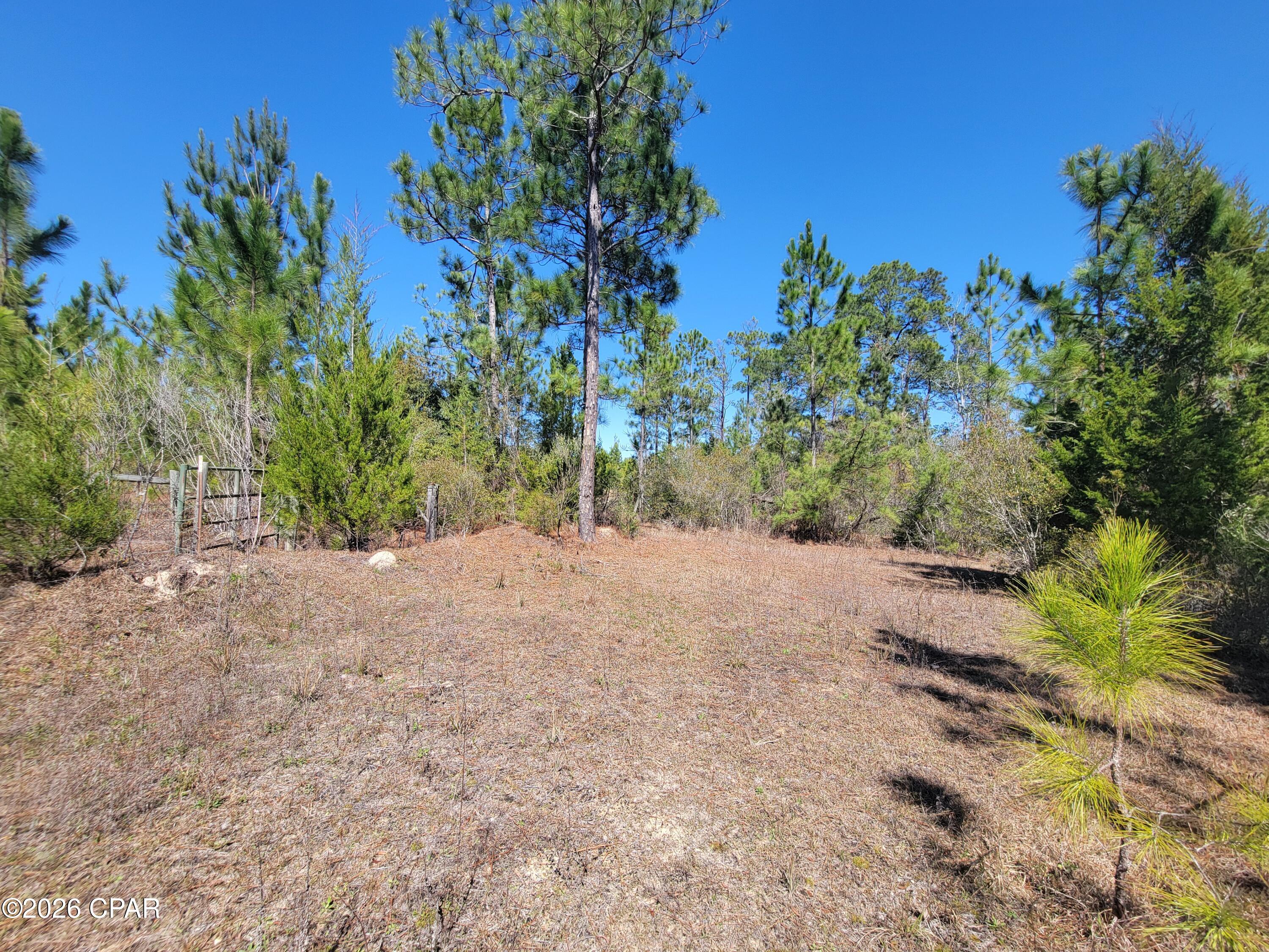 main property photo 13
