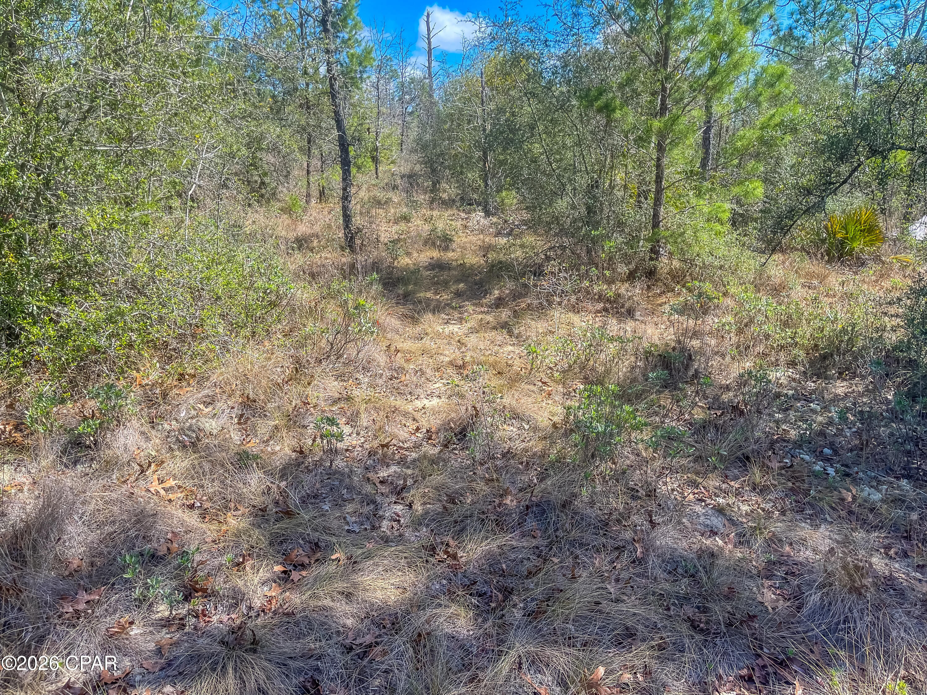 main property photo 9