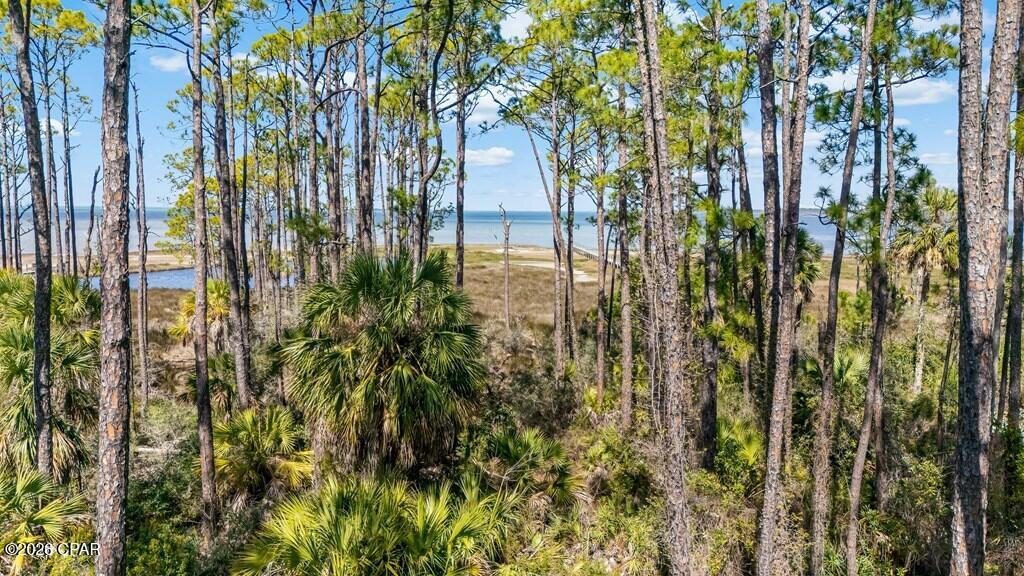 main property photo 62
