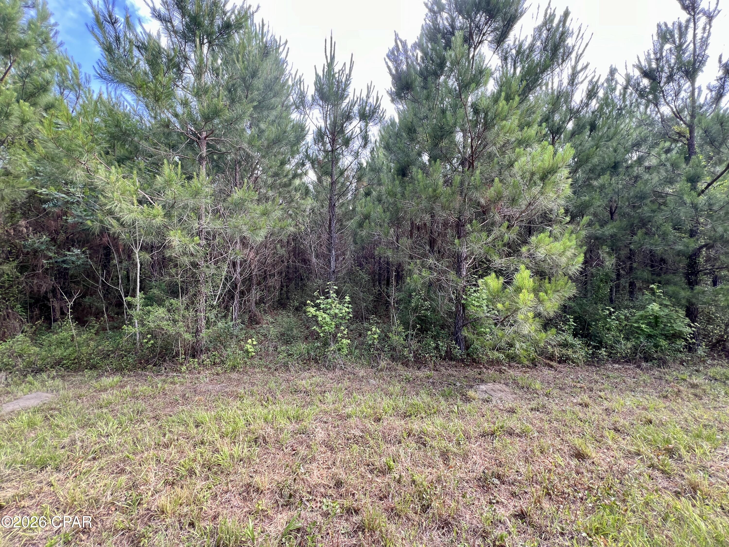 main property photo 30