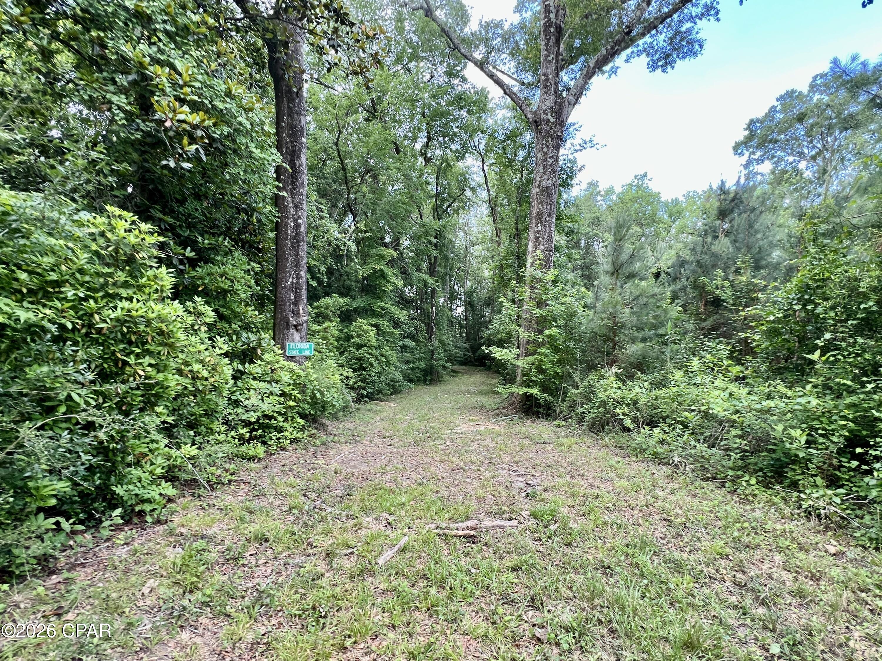 main property photo 46