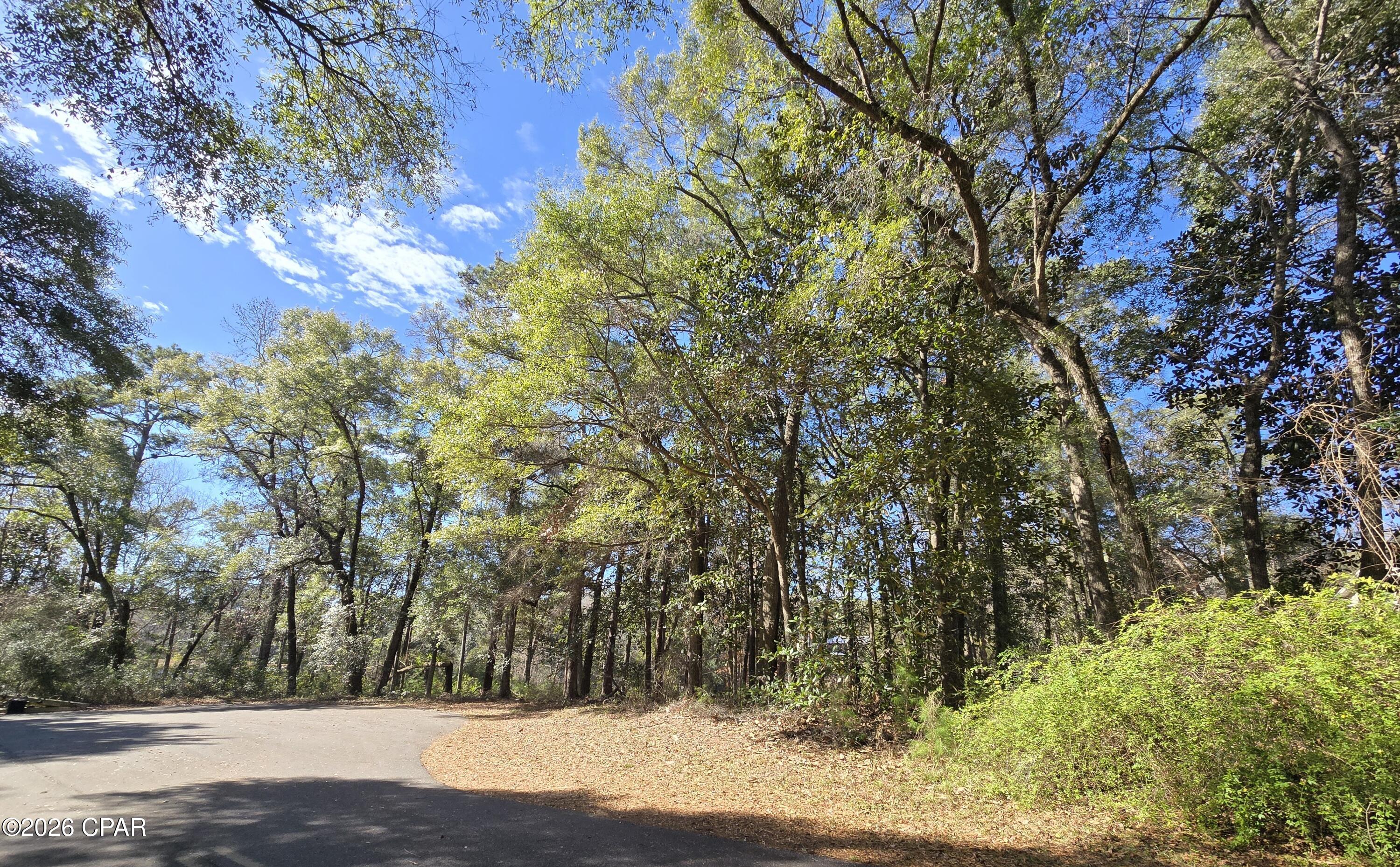 main property photo 9