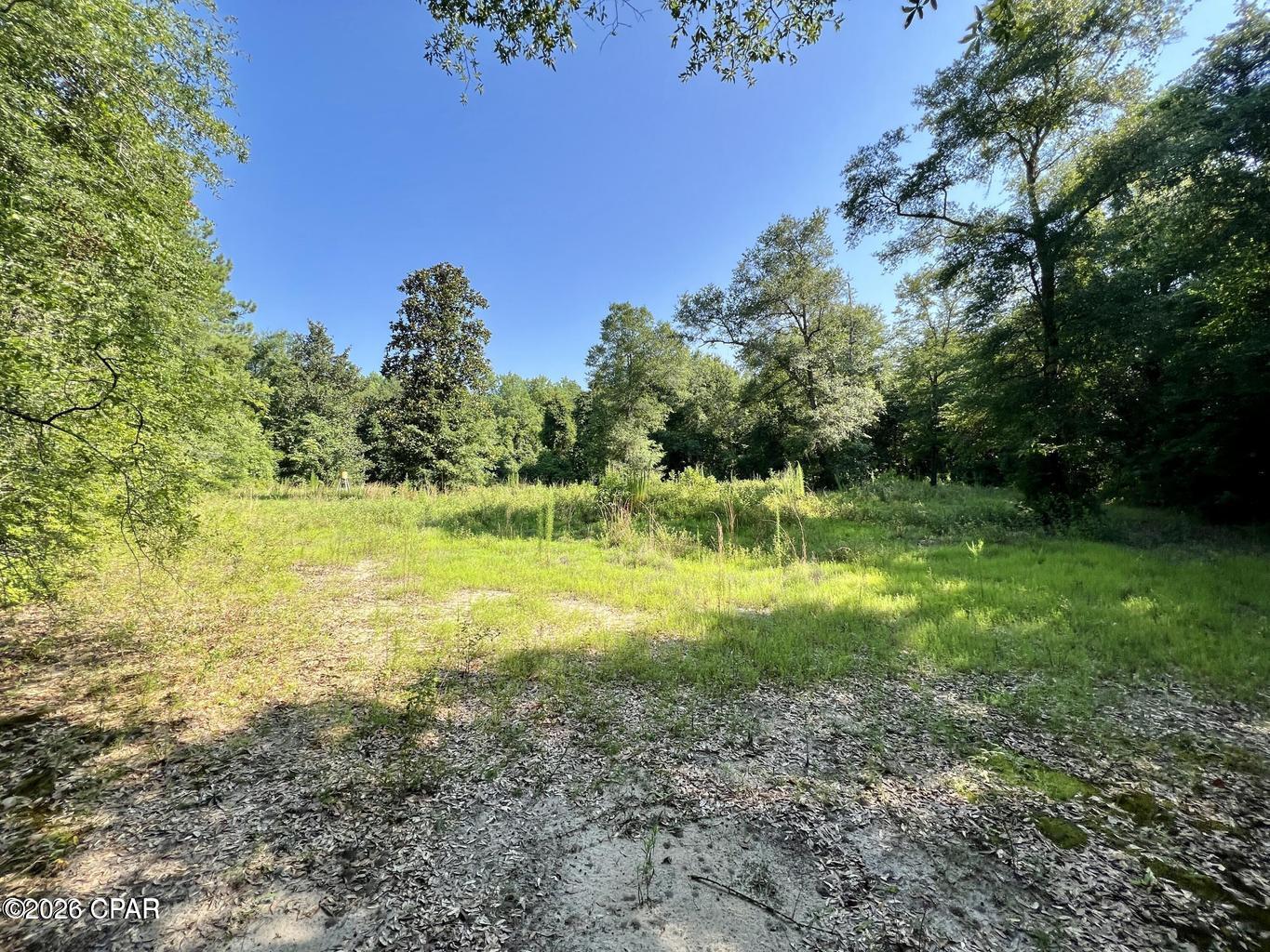 main property photo 9