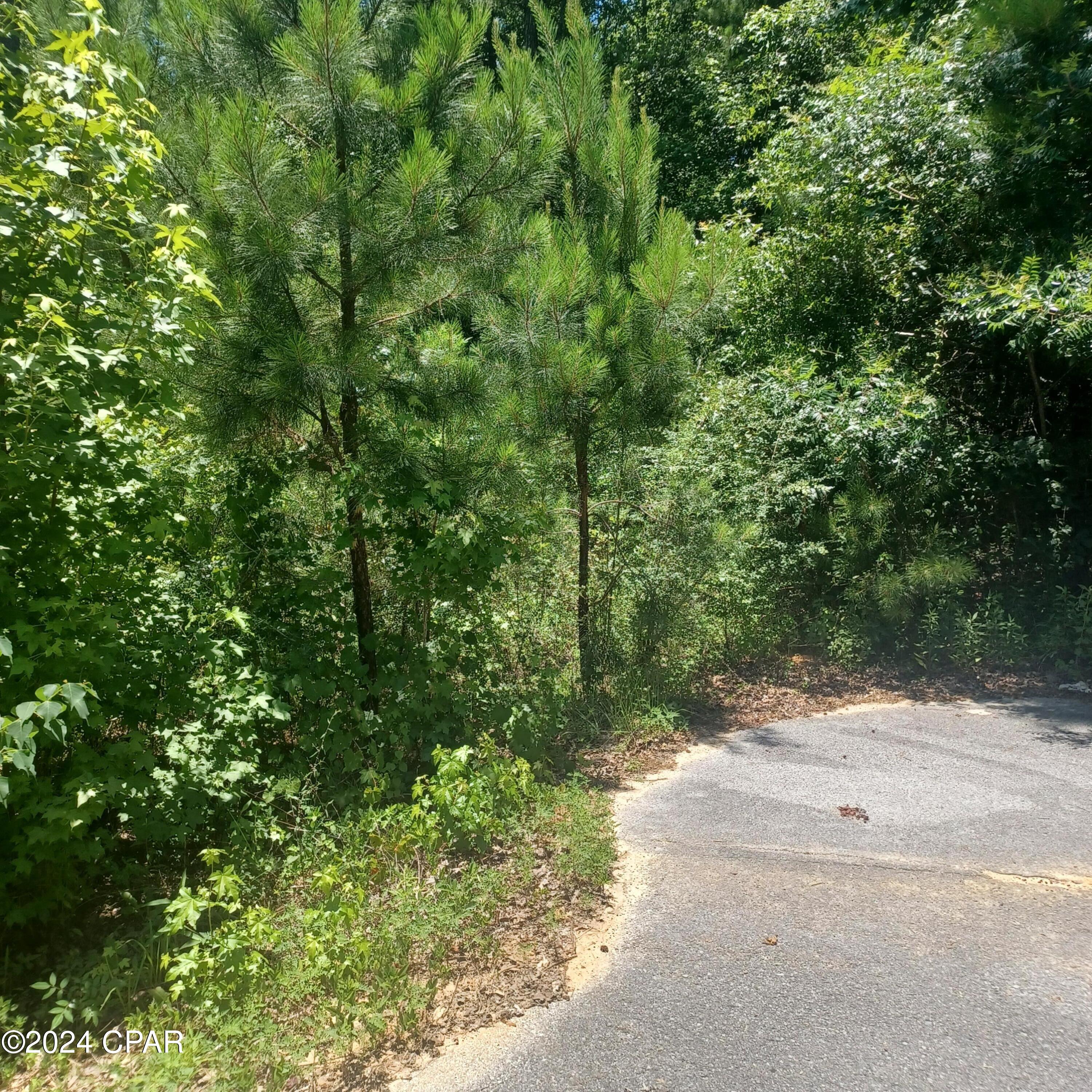 main property photo 6