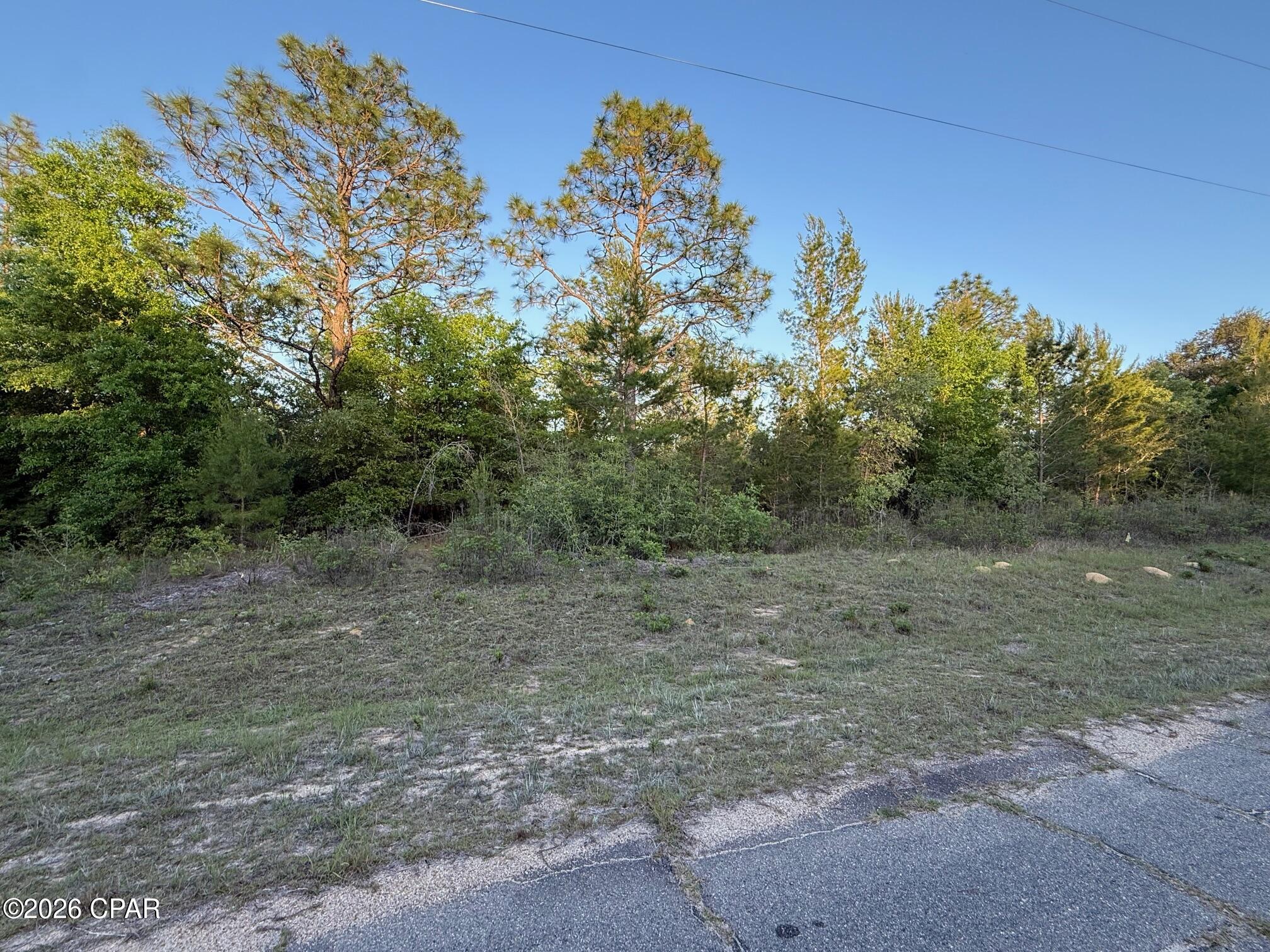 main property photo 4