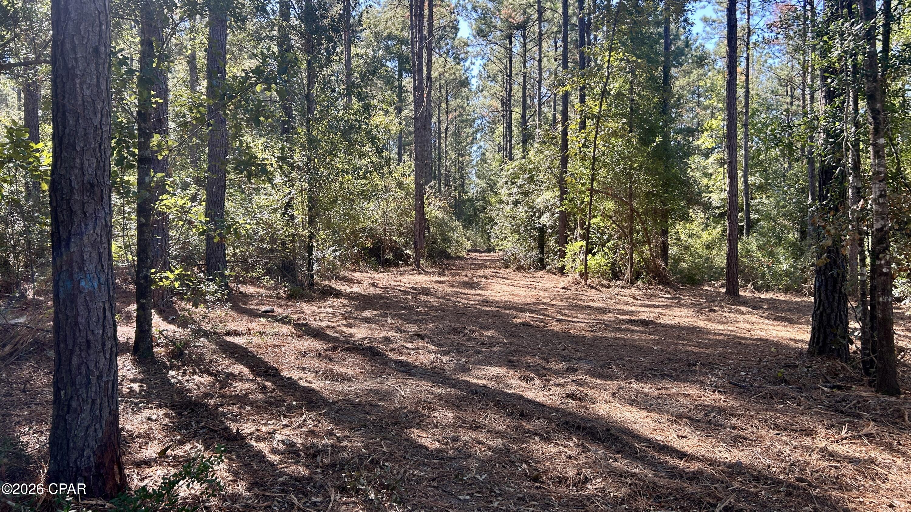 main property photo 10