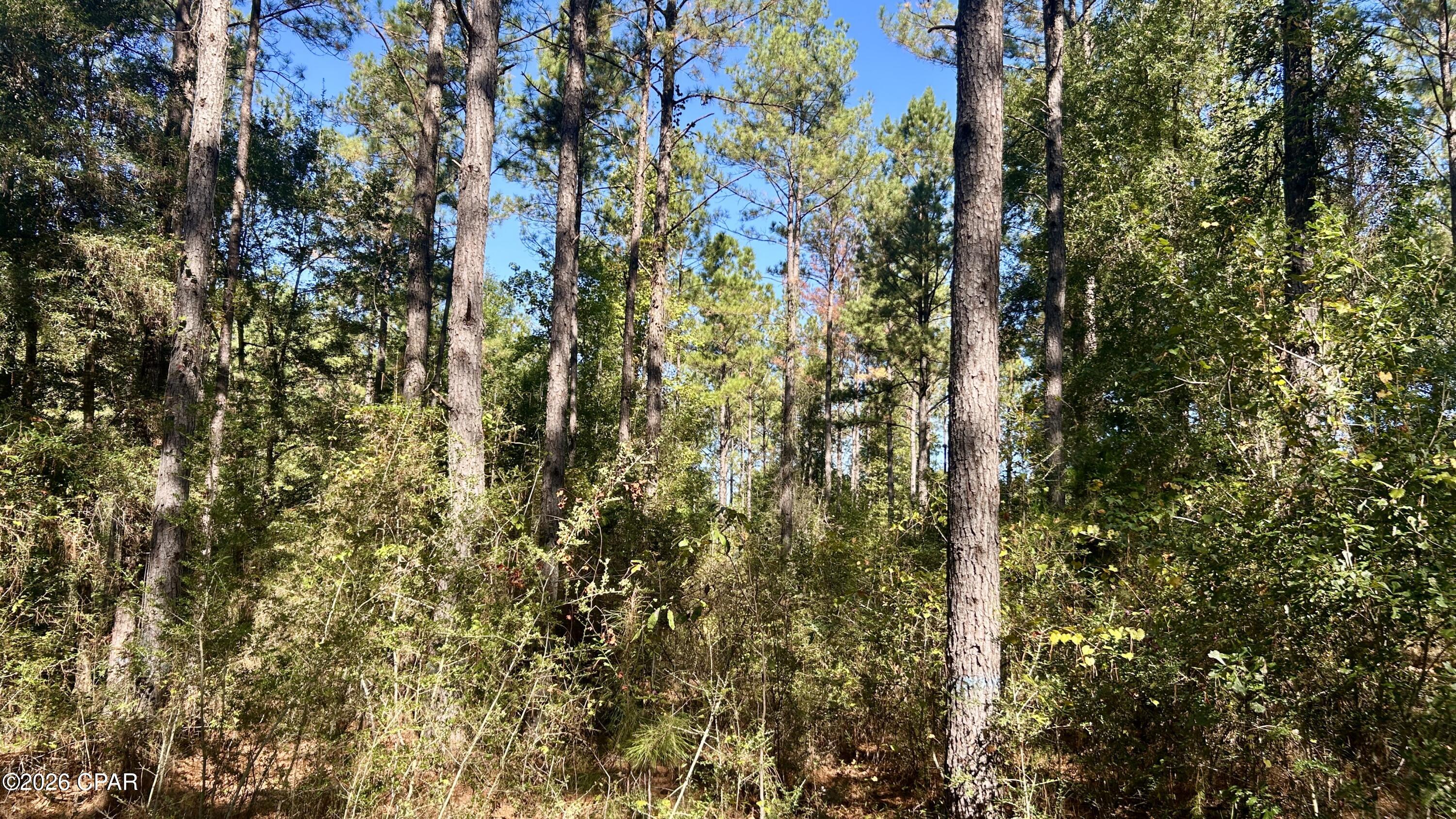 main property photo 11