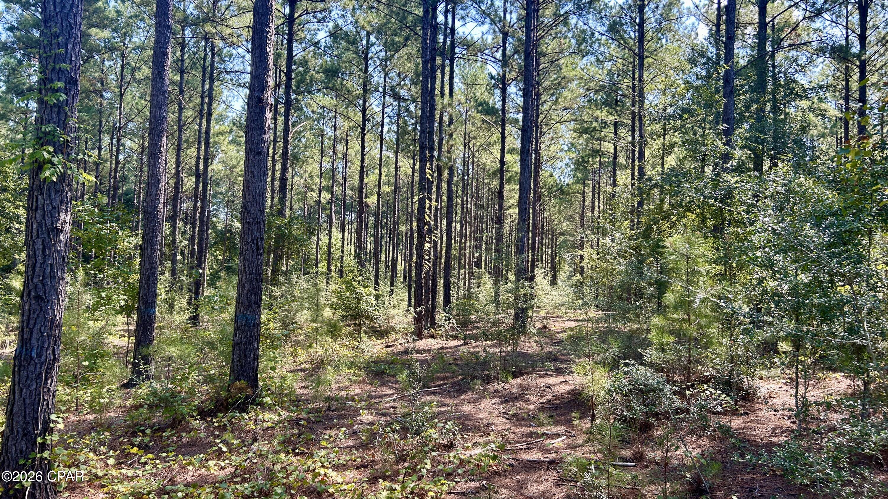 main property photo 12