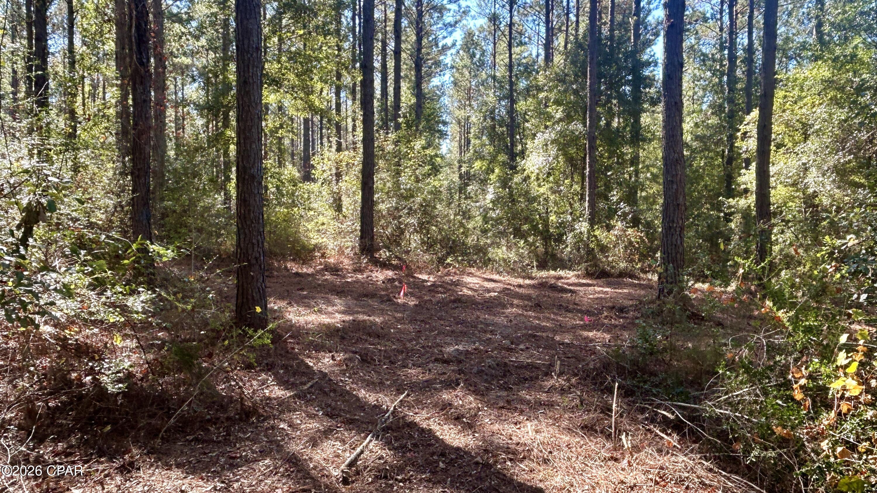 main property photo 16