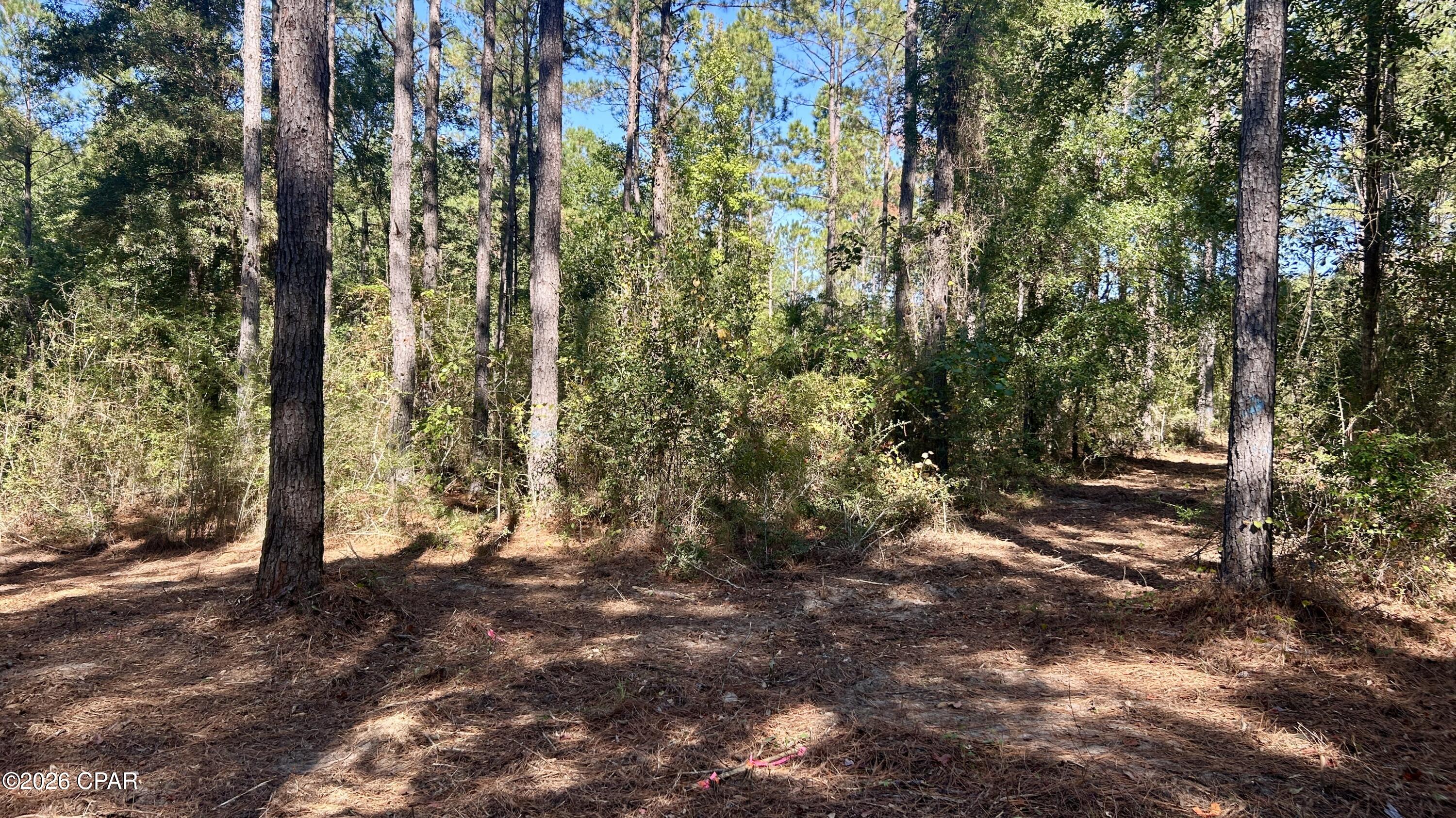 main property photo 17