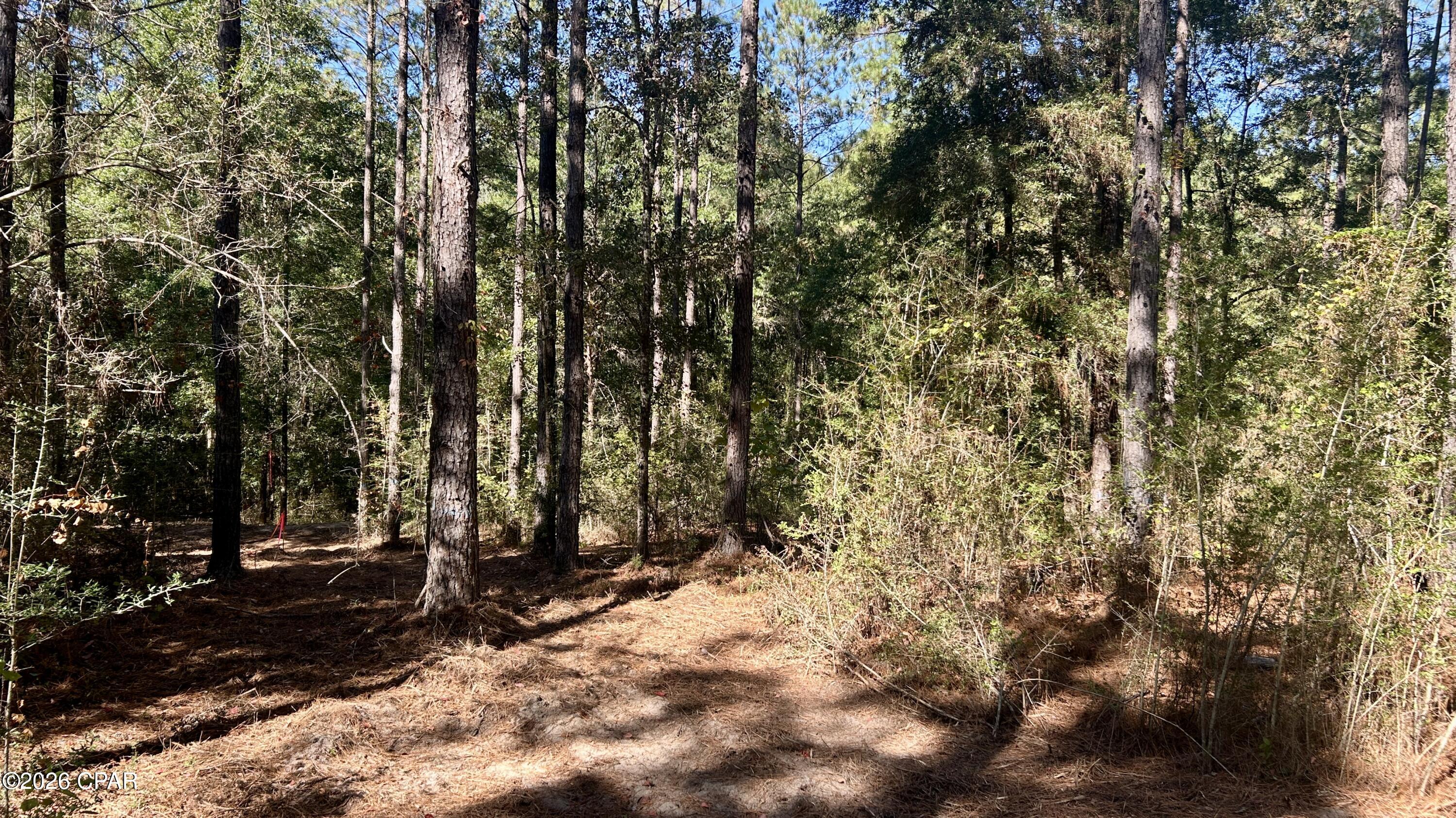 main property photo 19