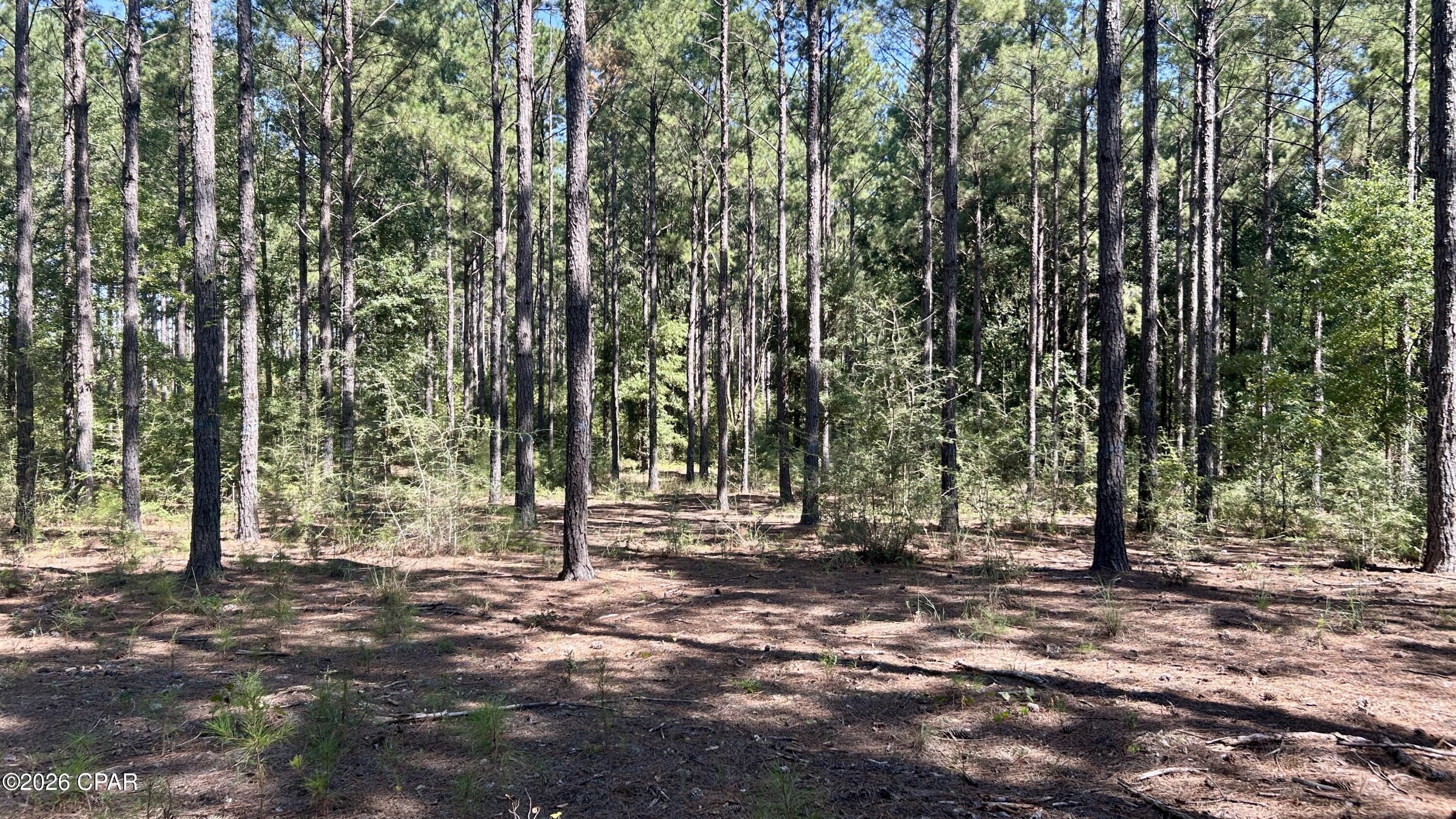 main property photo 21