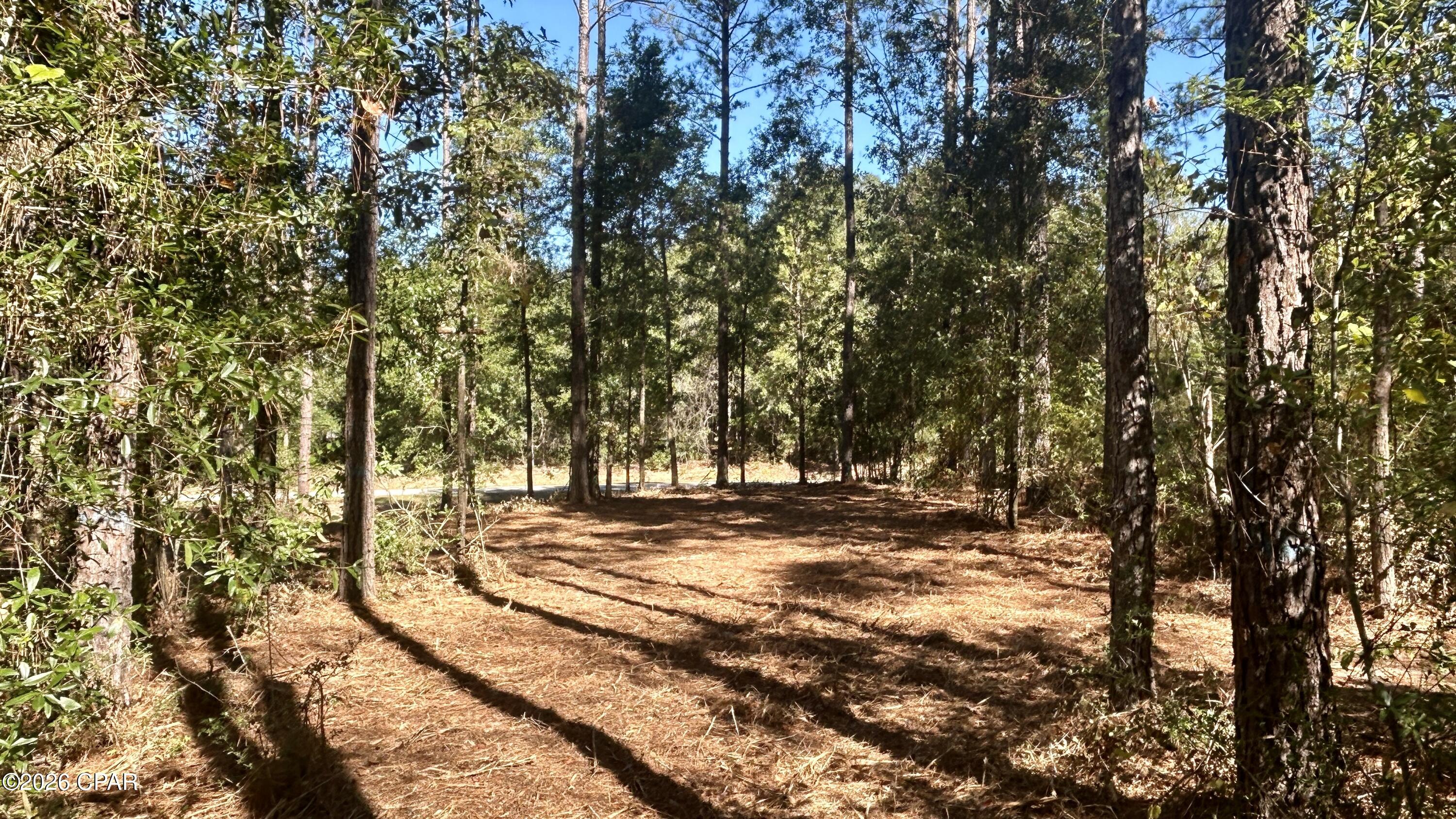 main property photo 22