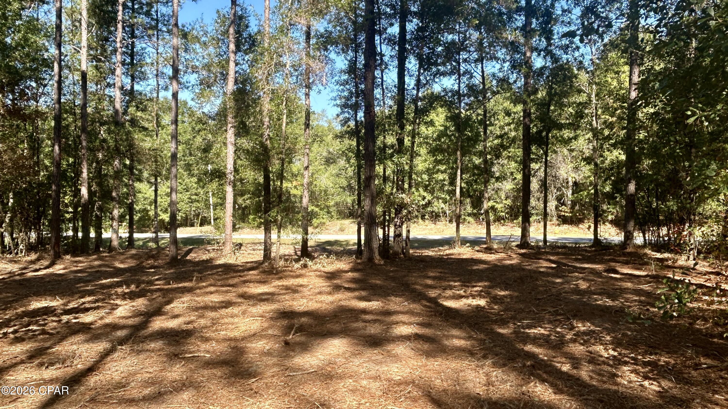 main property photo 23