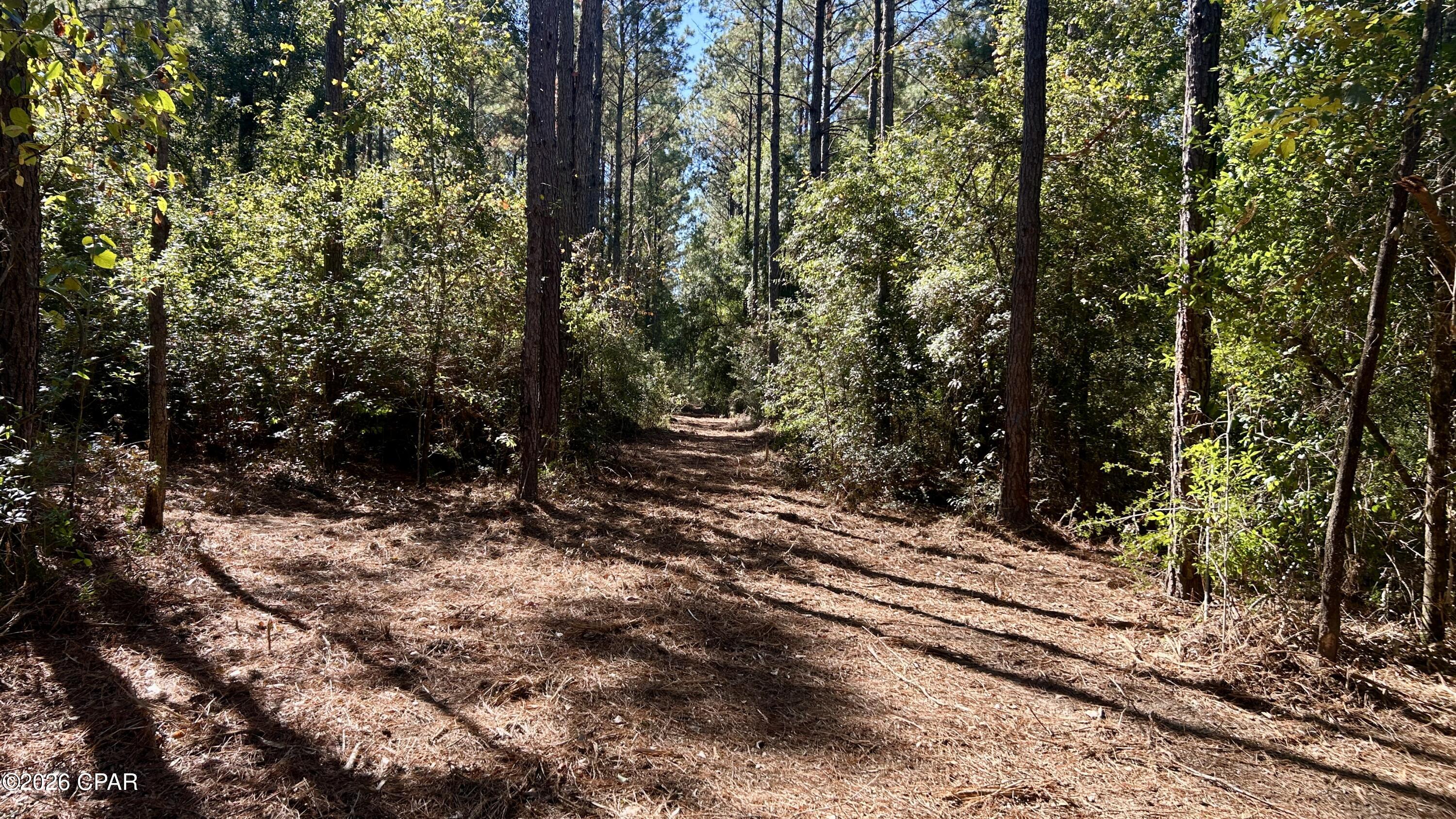 main property photo 6