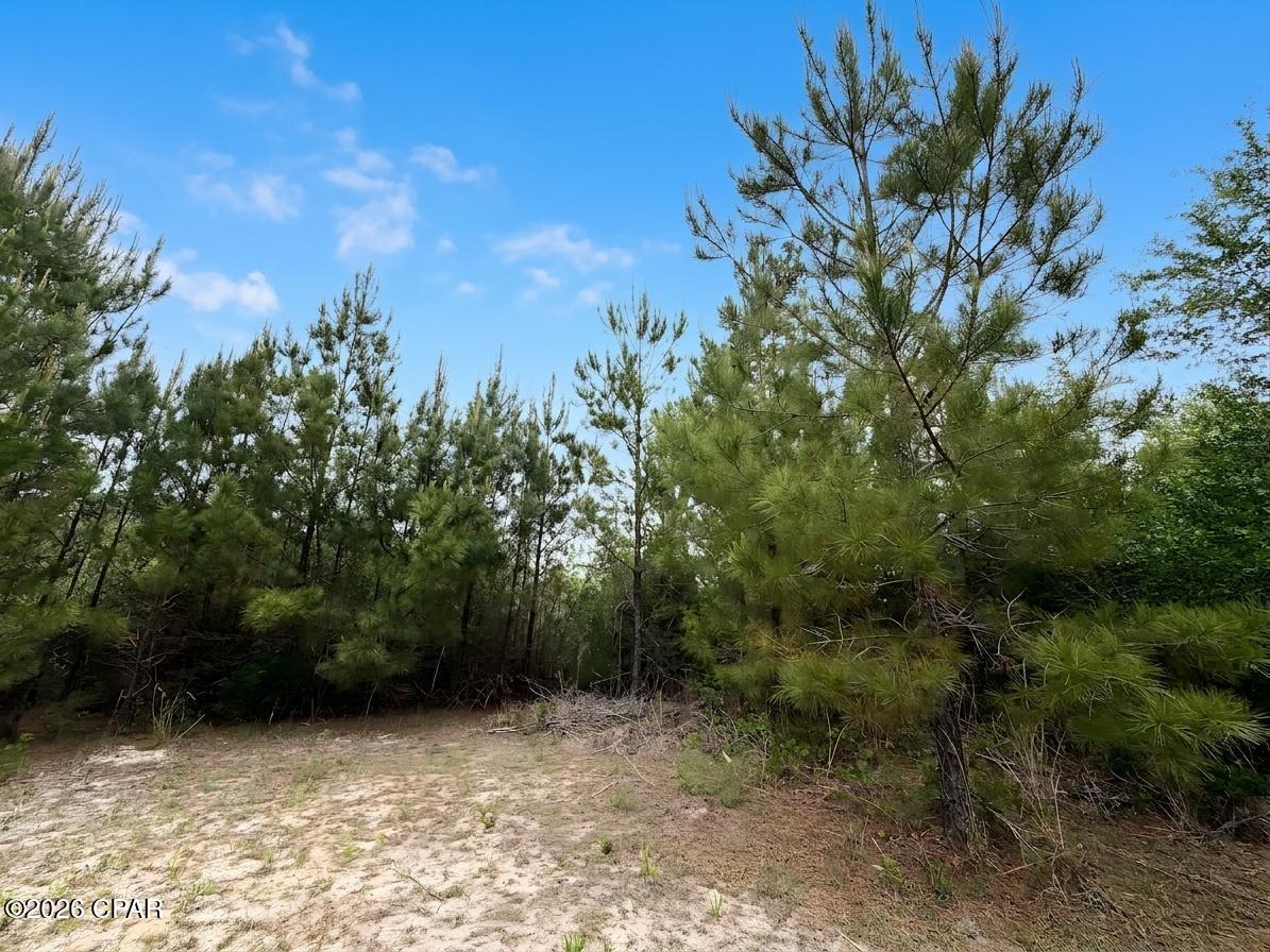 main property photo 27