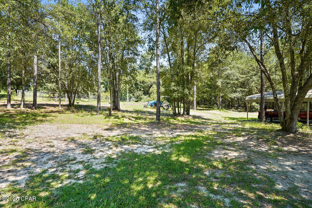 main property photo 46