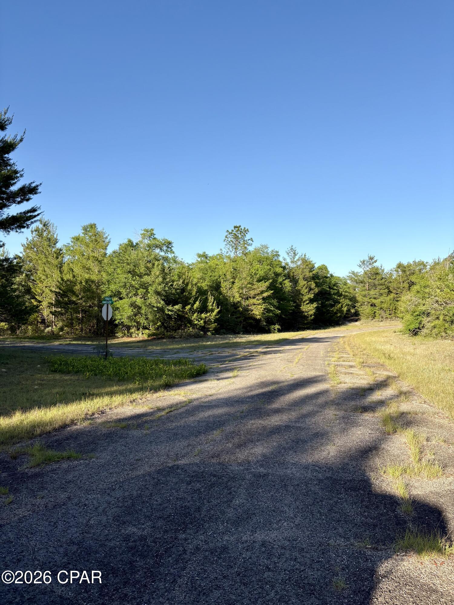 main property photo 4