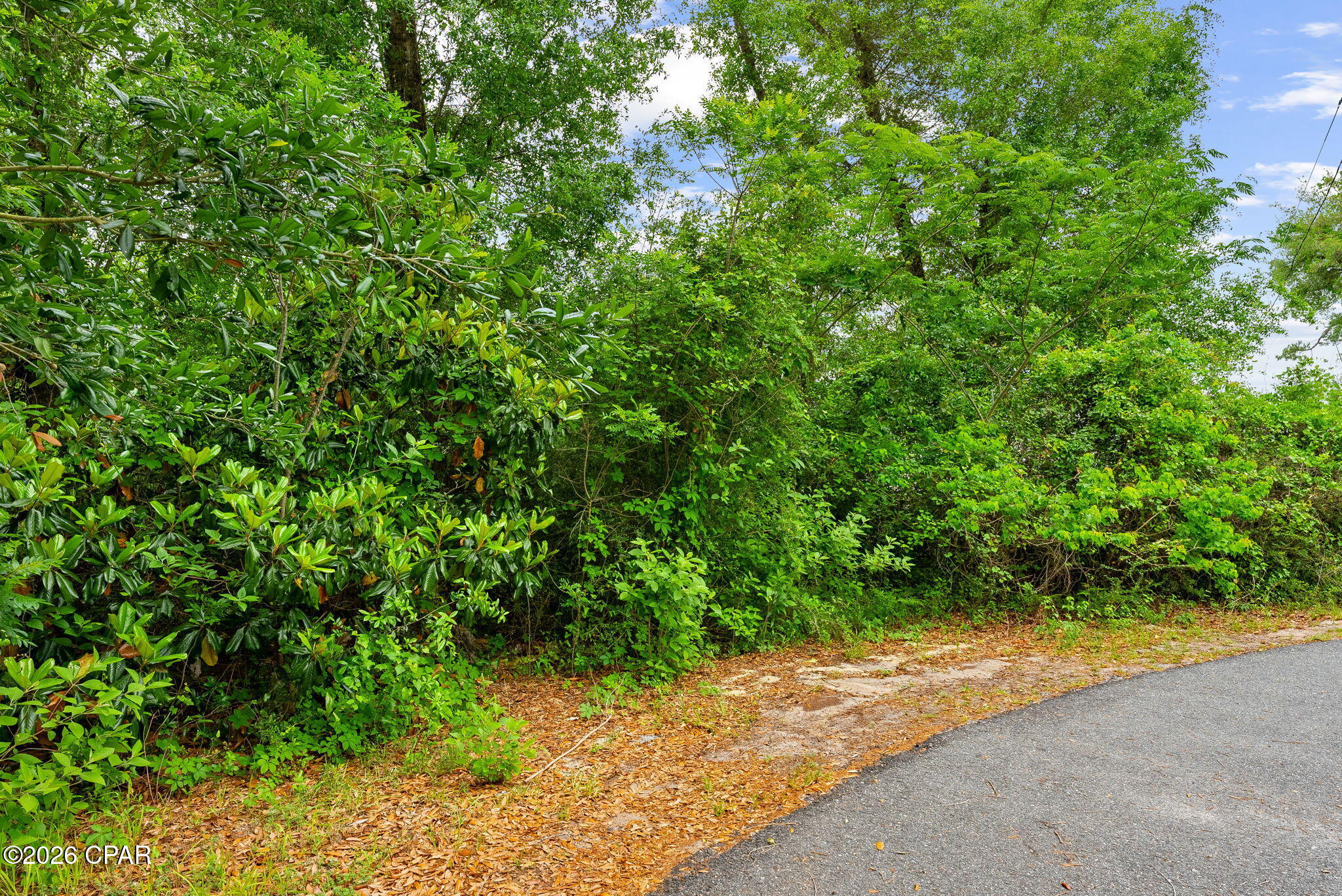 main property photo 13