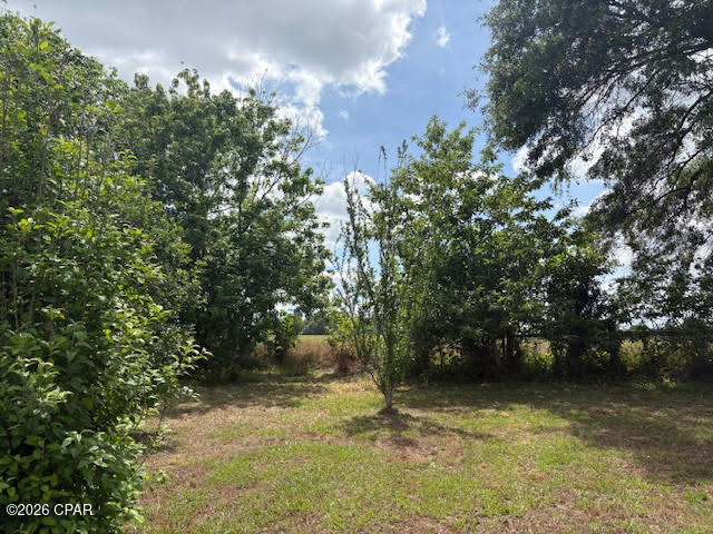main property photo 45