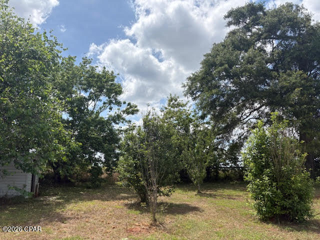 main property photo 46