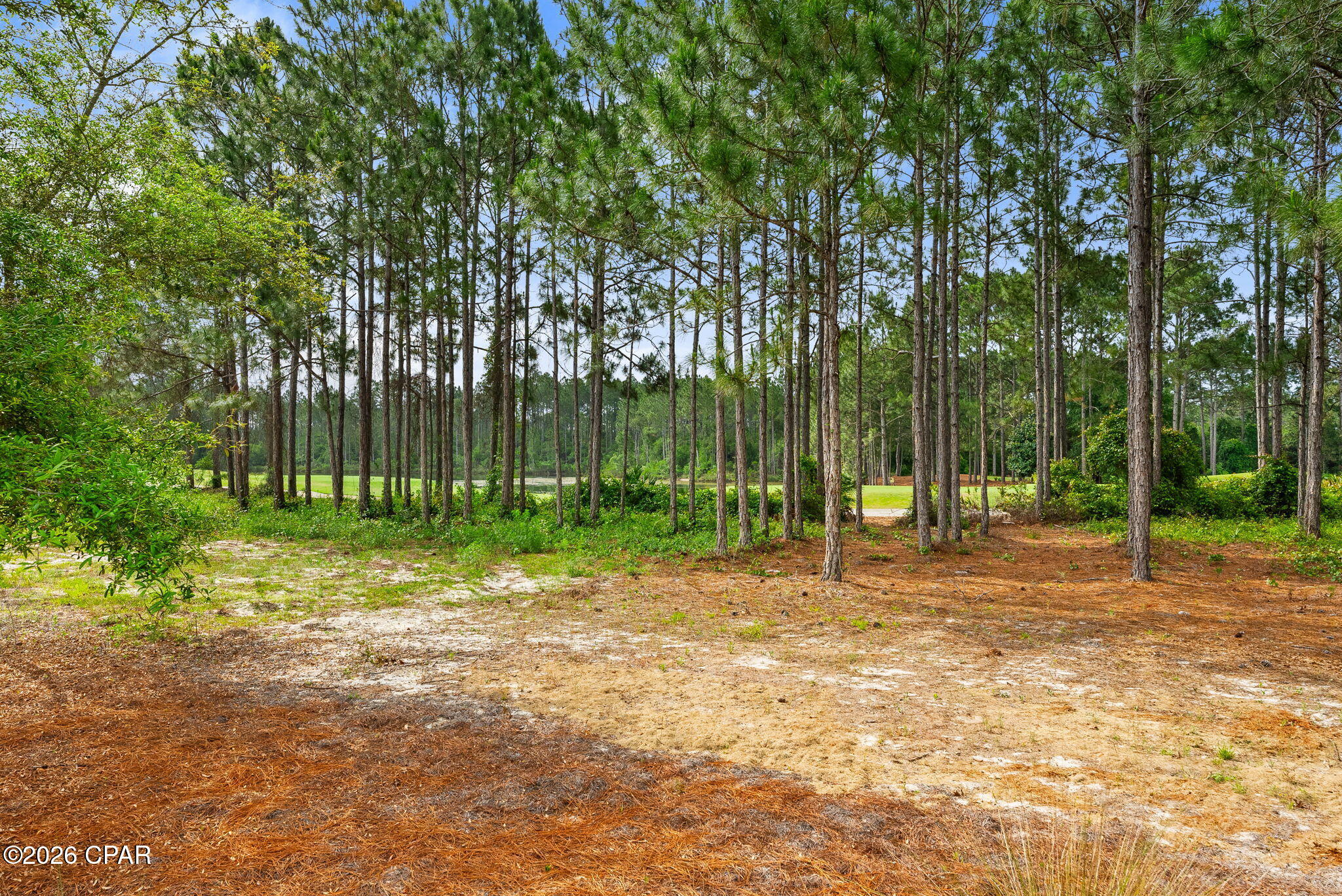 main property photo 50