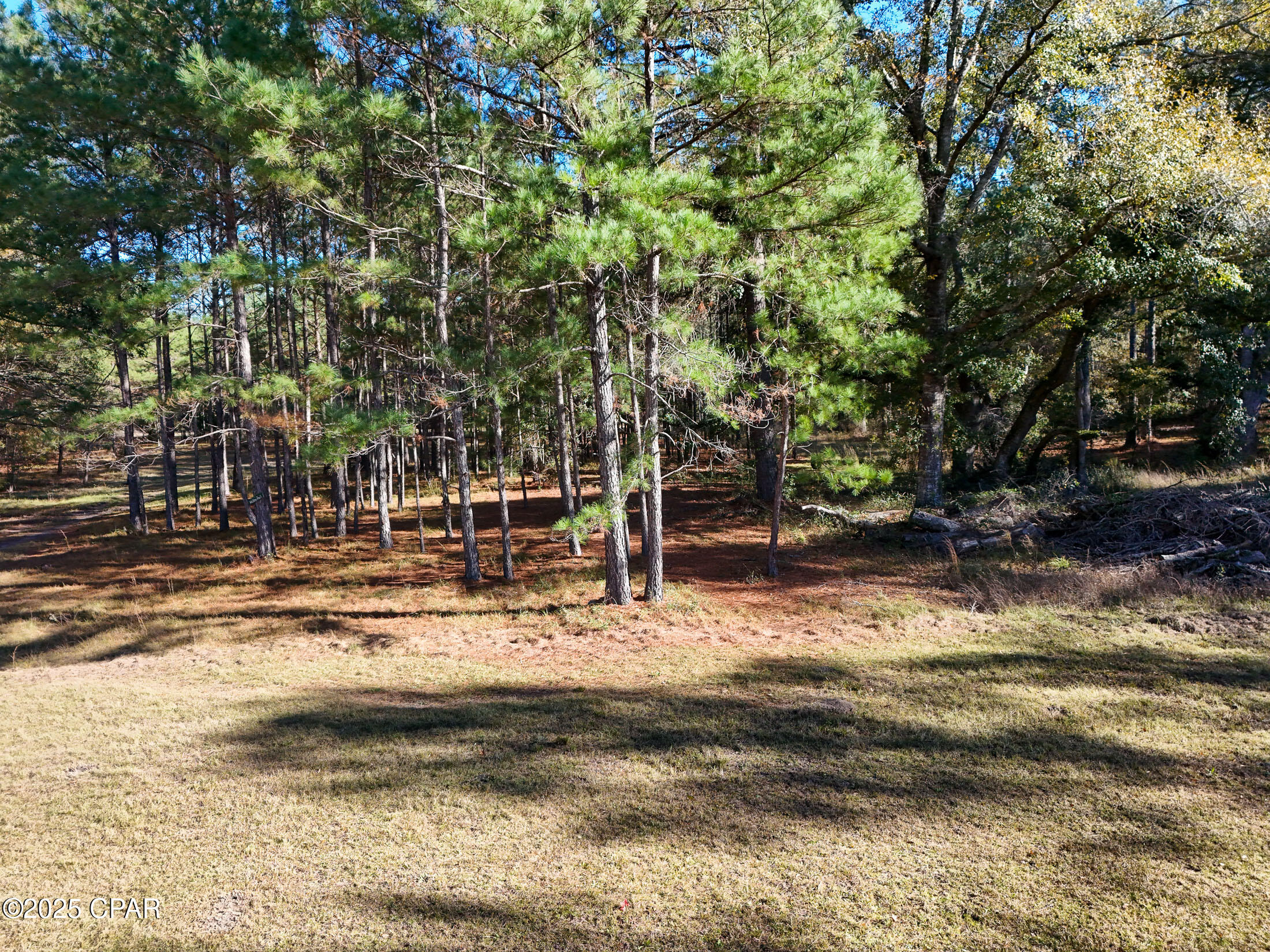 main property photo 19