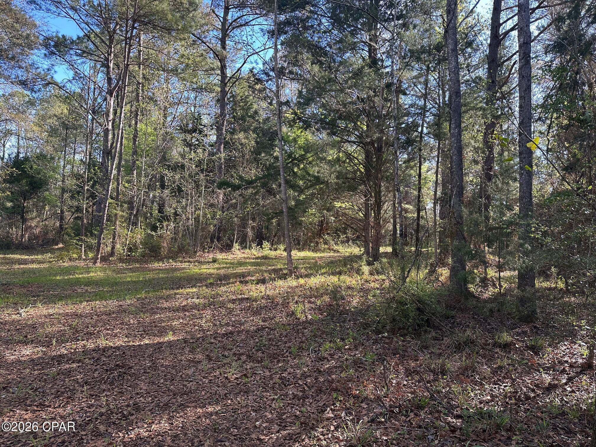 main property photo 20