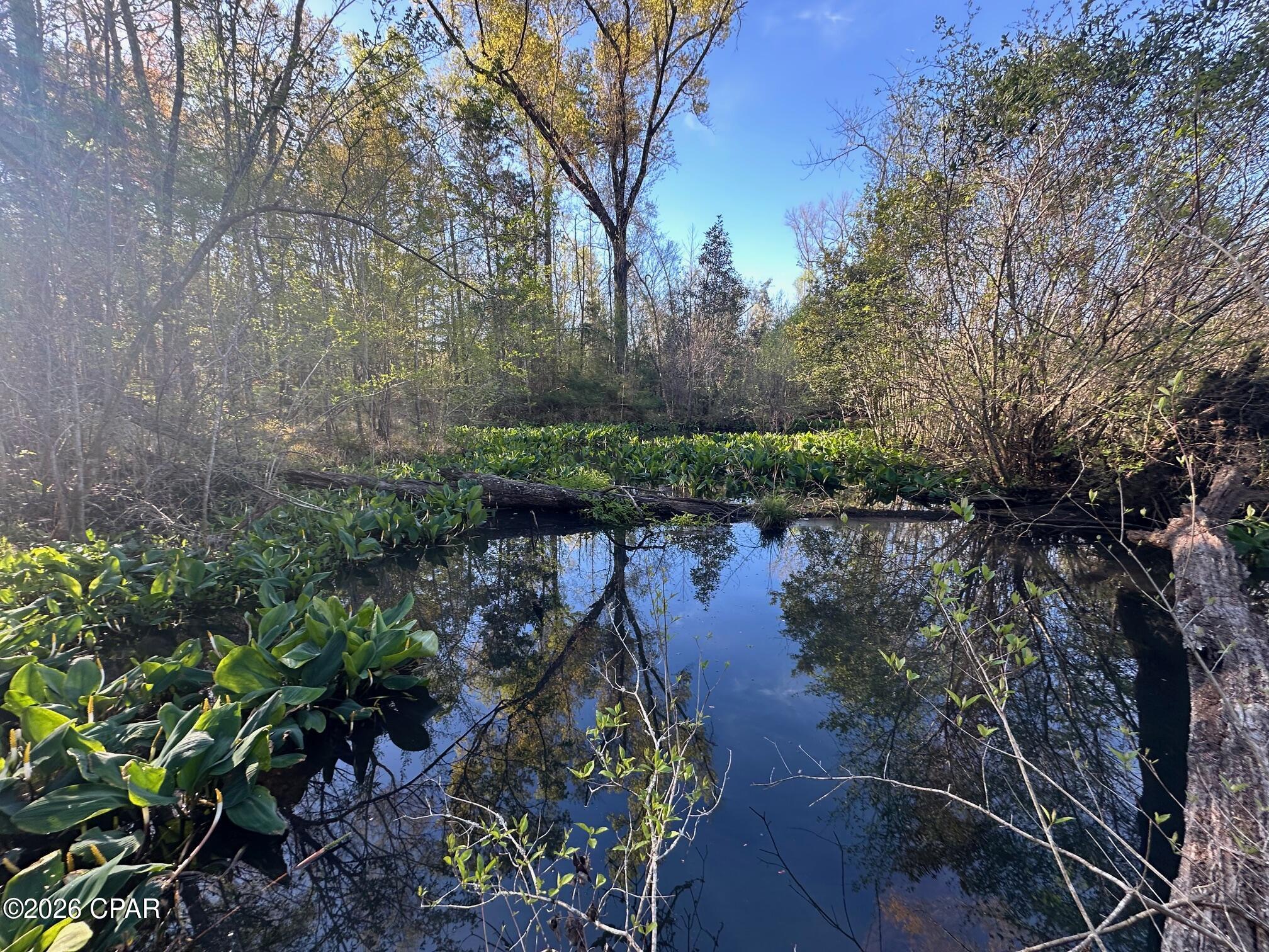 main property photo 24