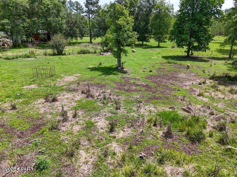 main property photo 45