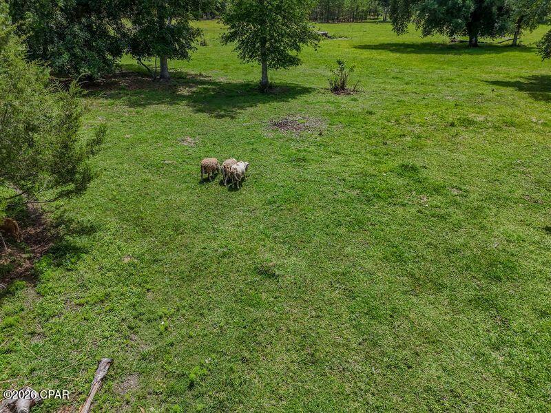 main property photo 46