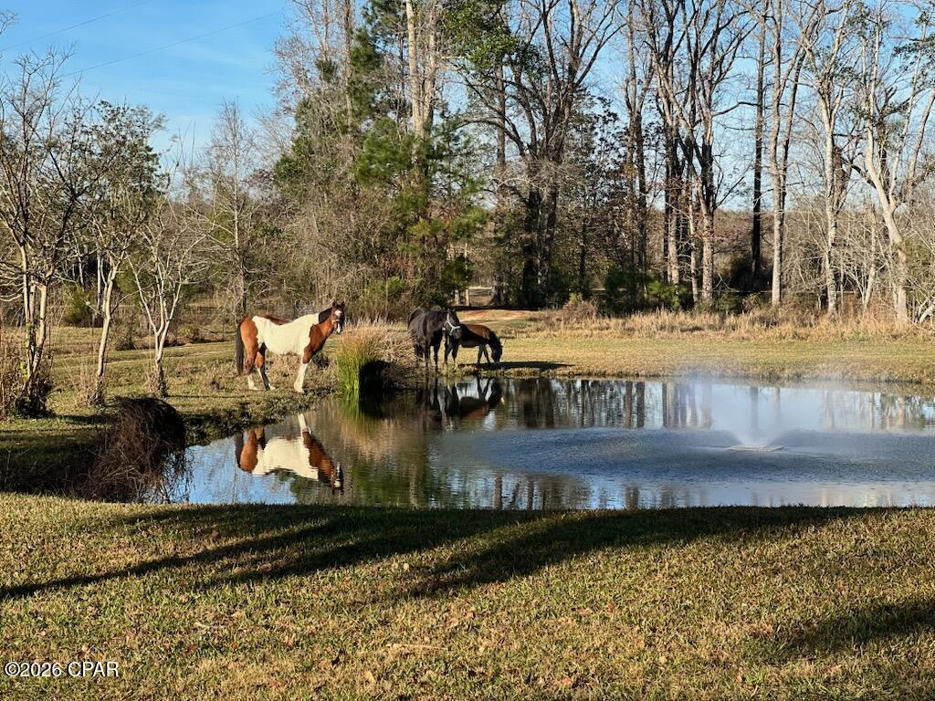 main property photo 9
