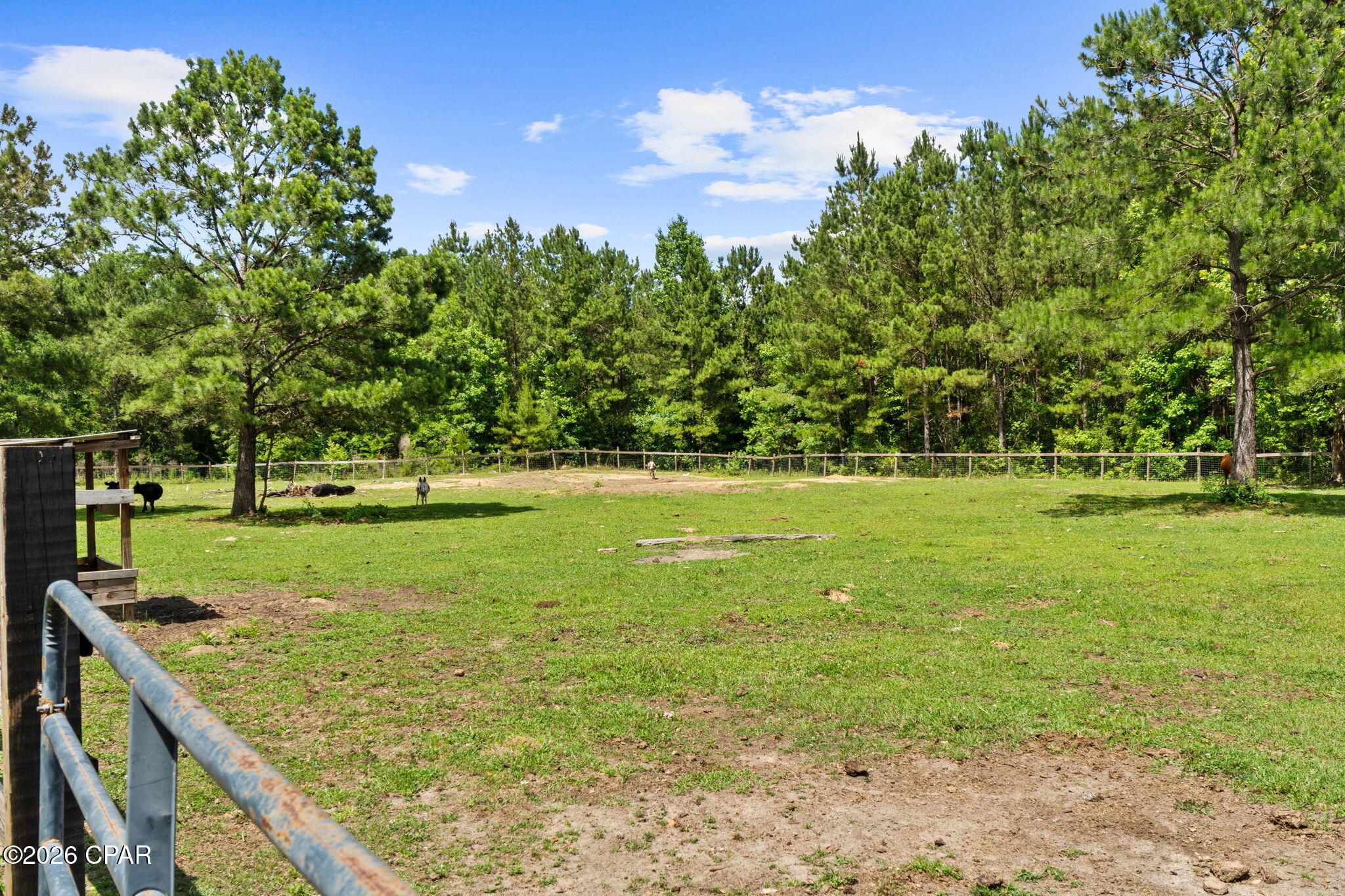 main property photo 44