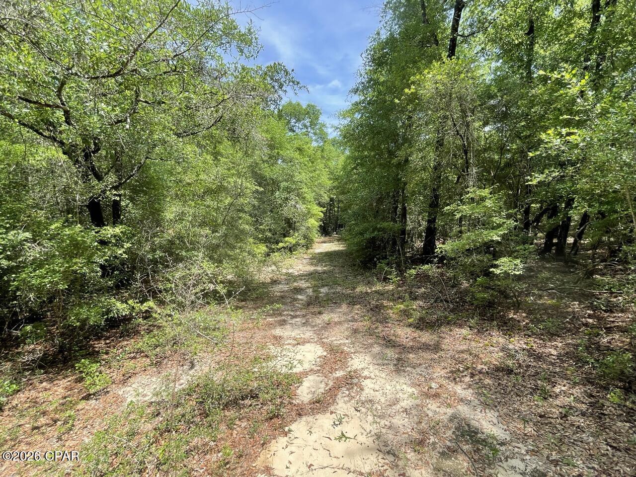 main property photo 7
