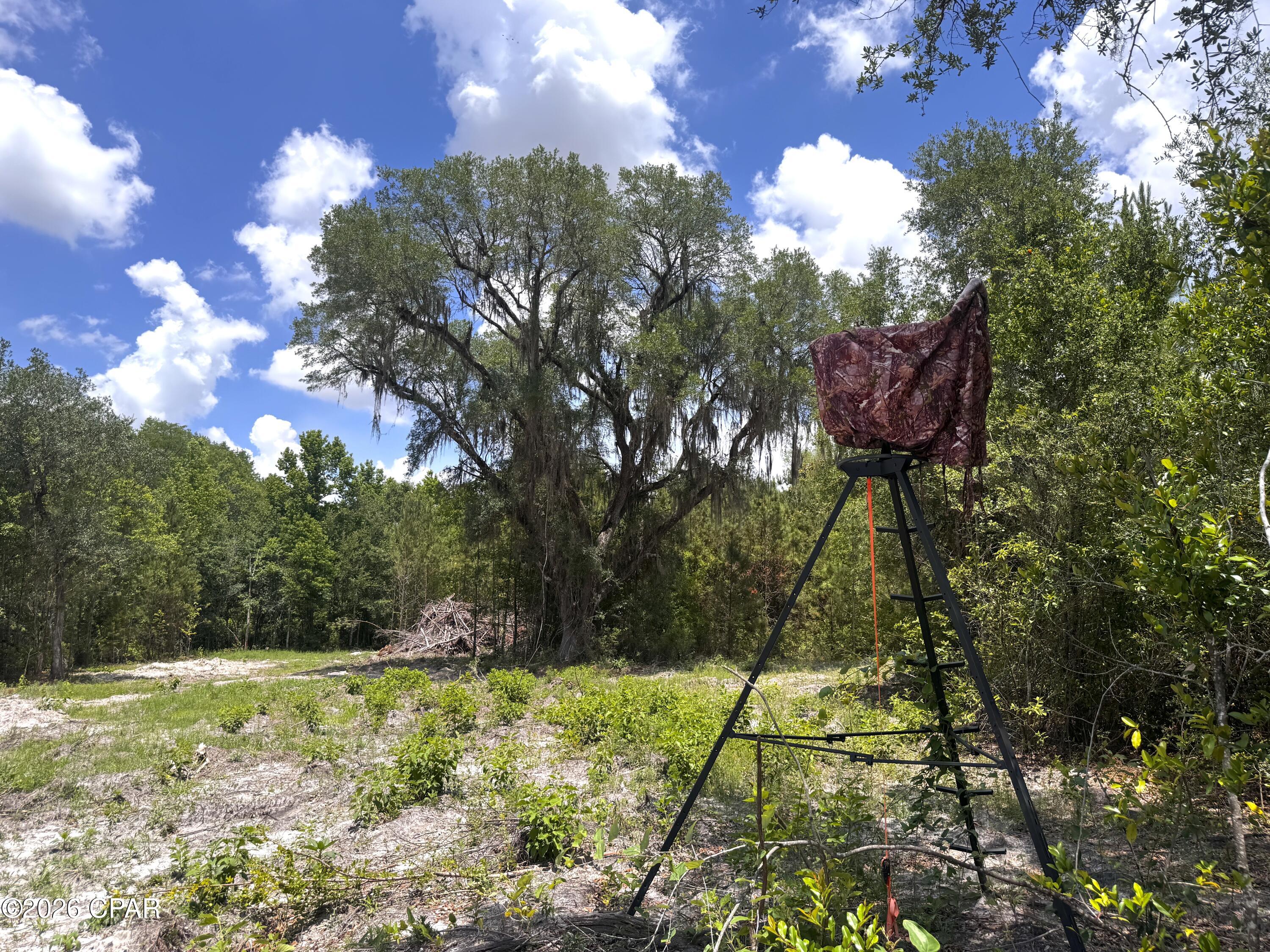 main property photo 49