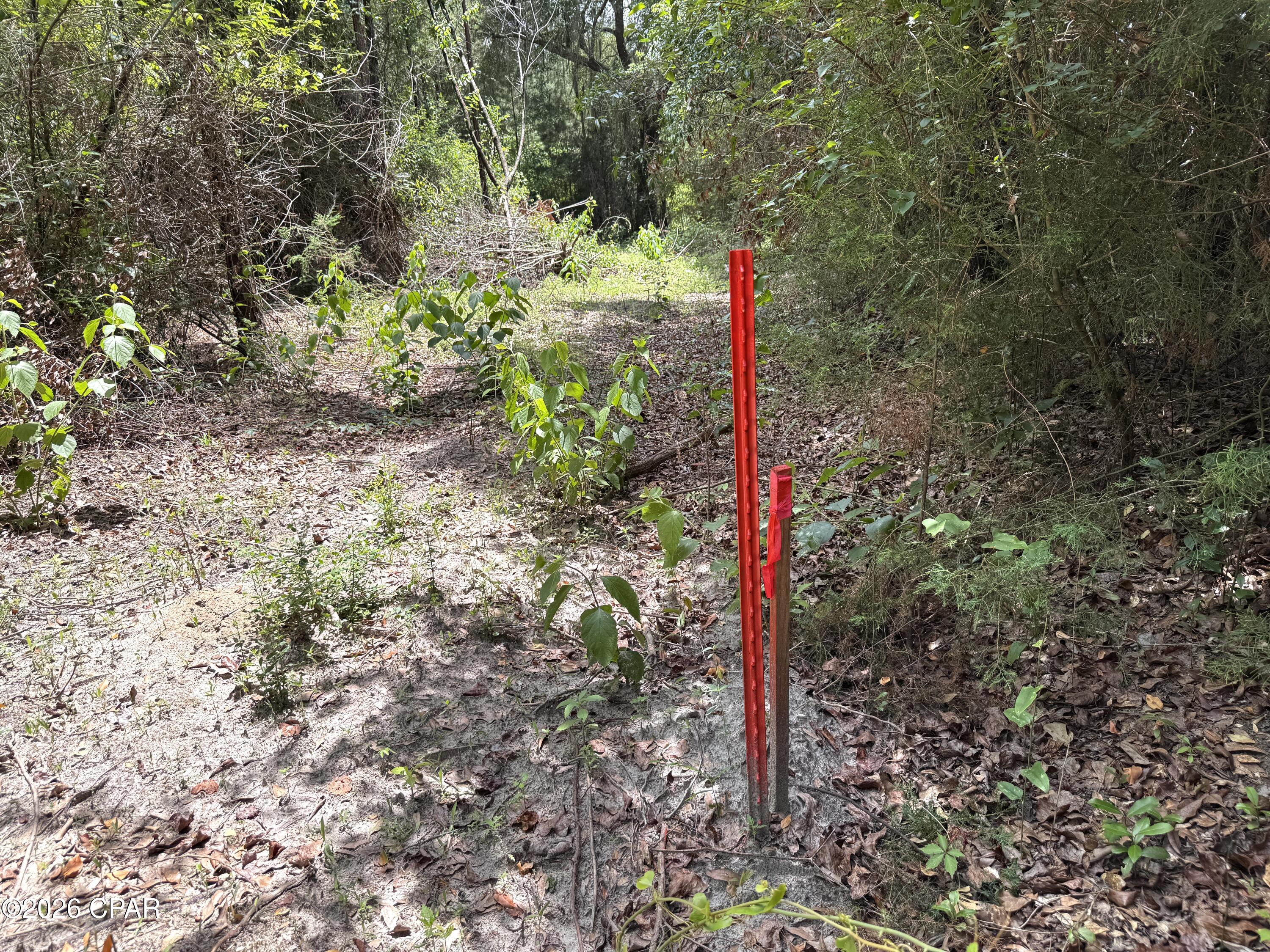 main property photo 56