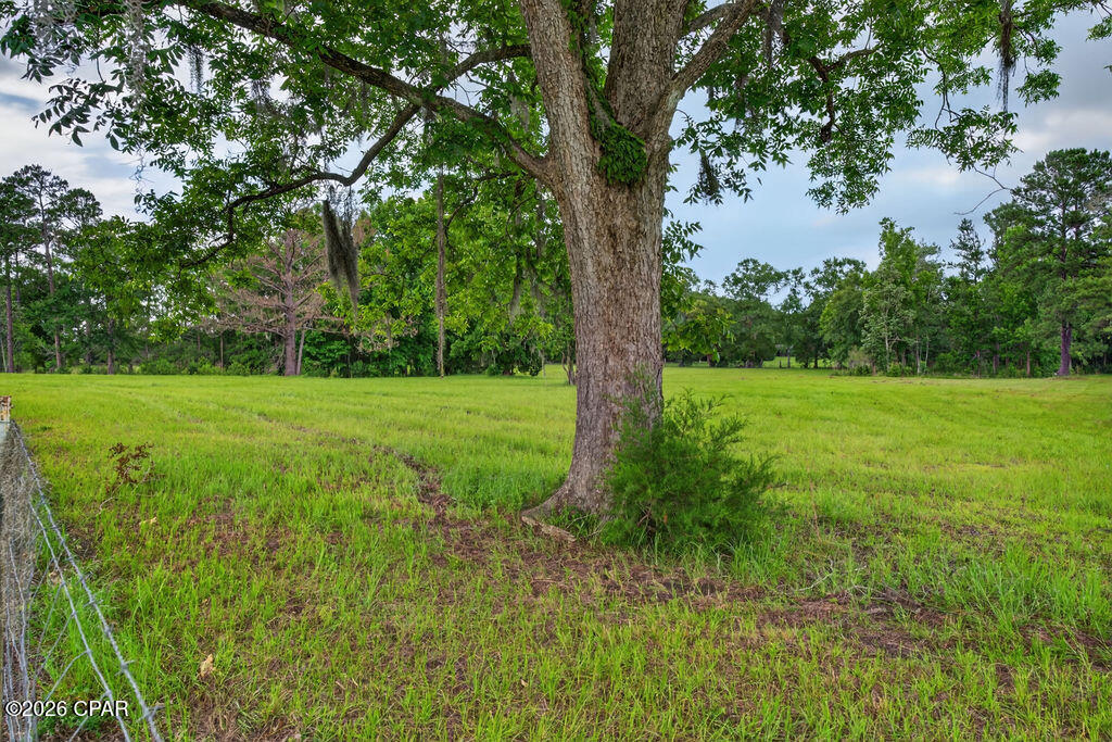 main property photo 50
