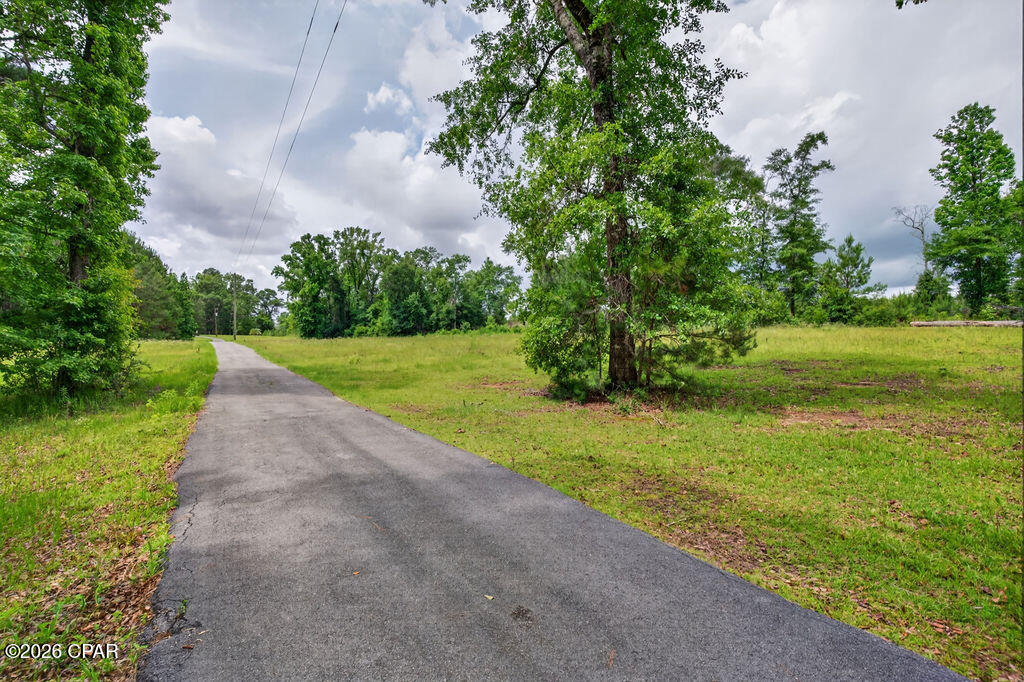 main property photo 42
