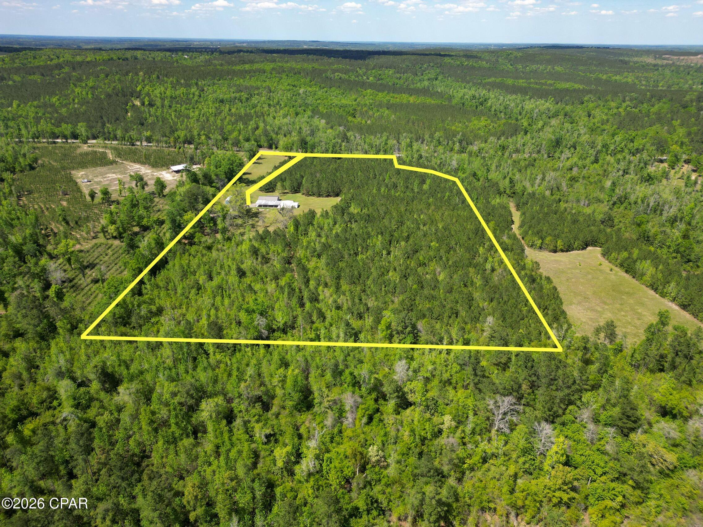 main property photo 46