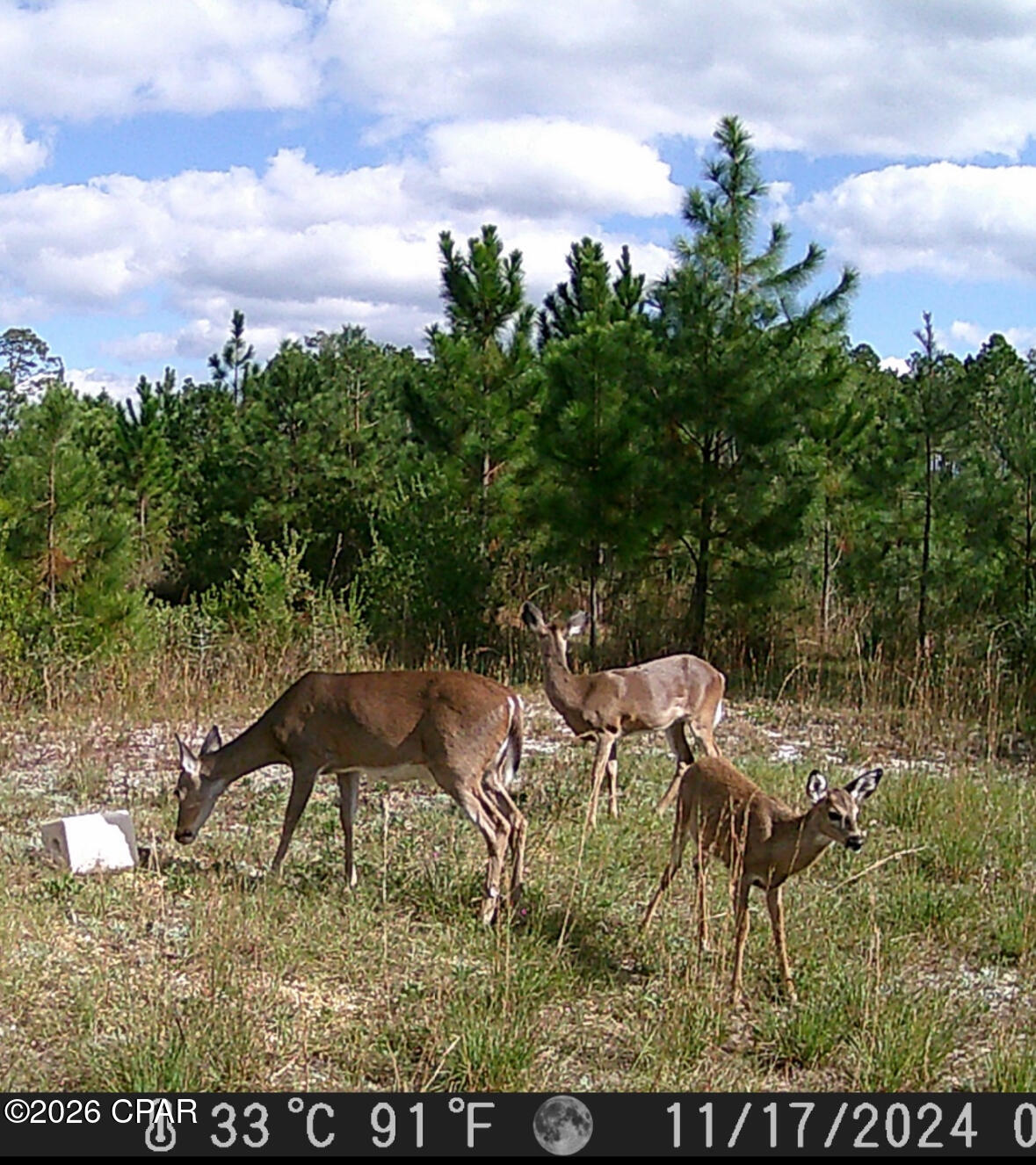 main property photo 82