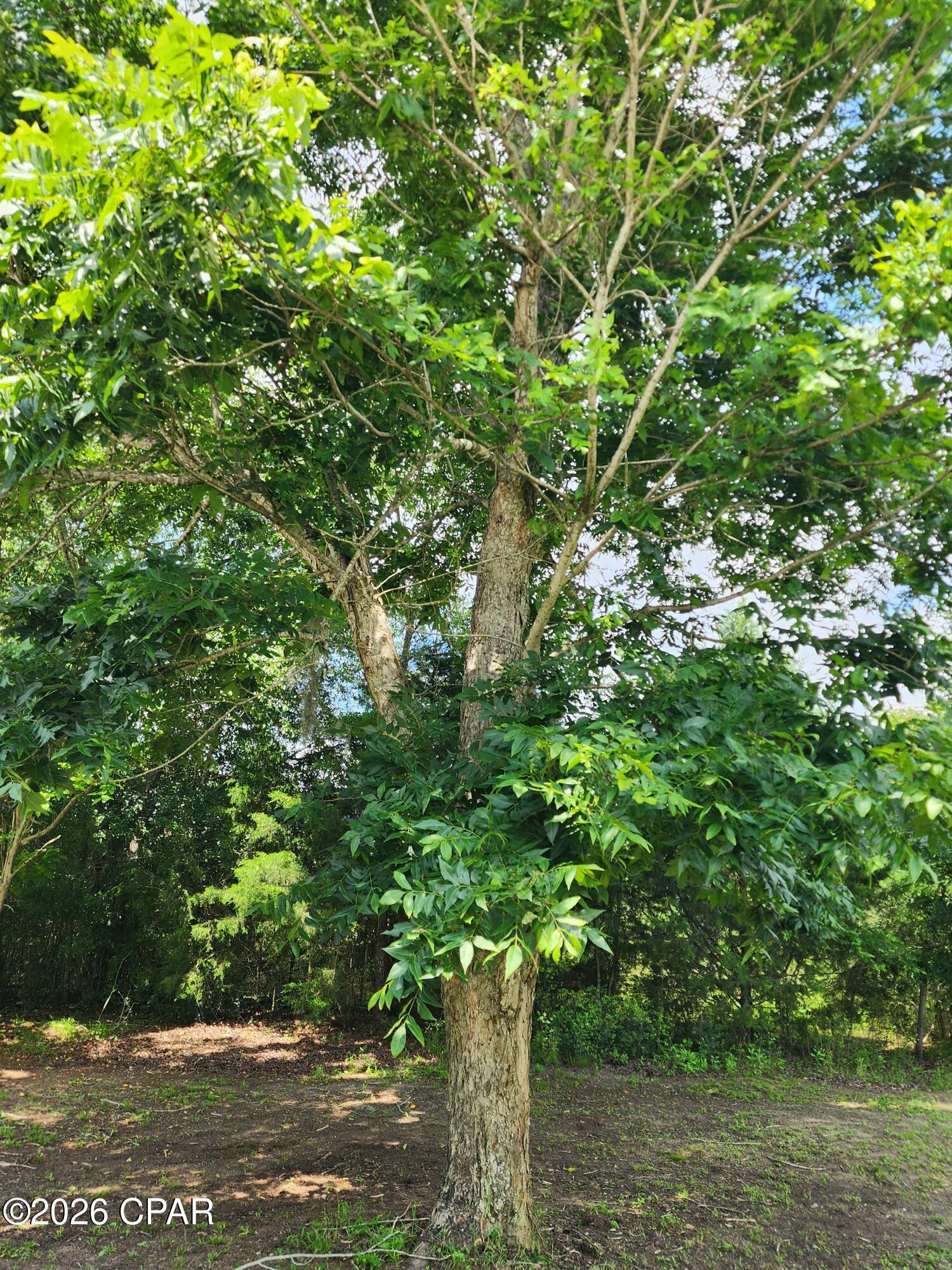 main property photo 43