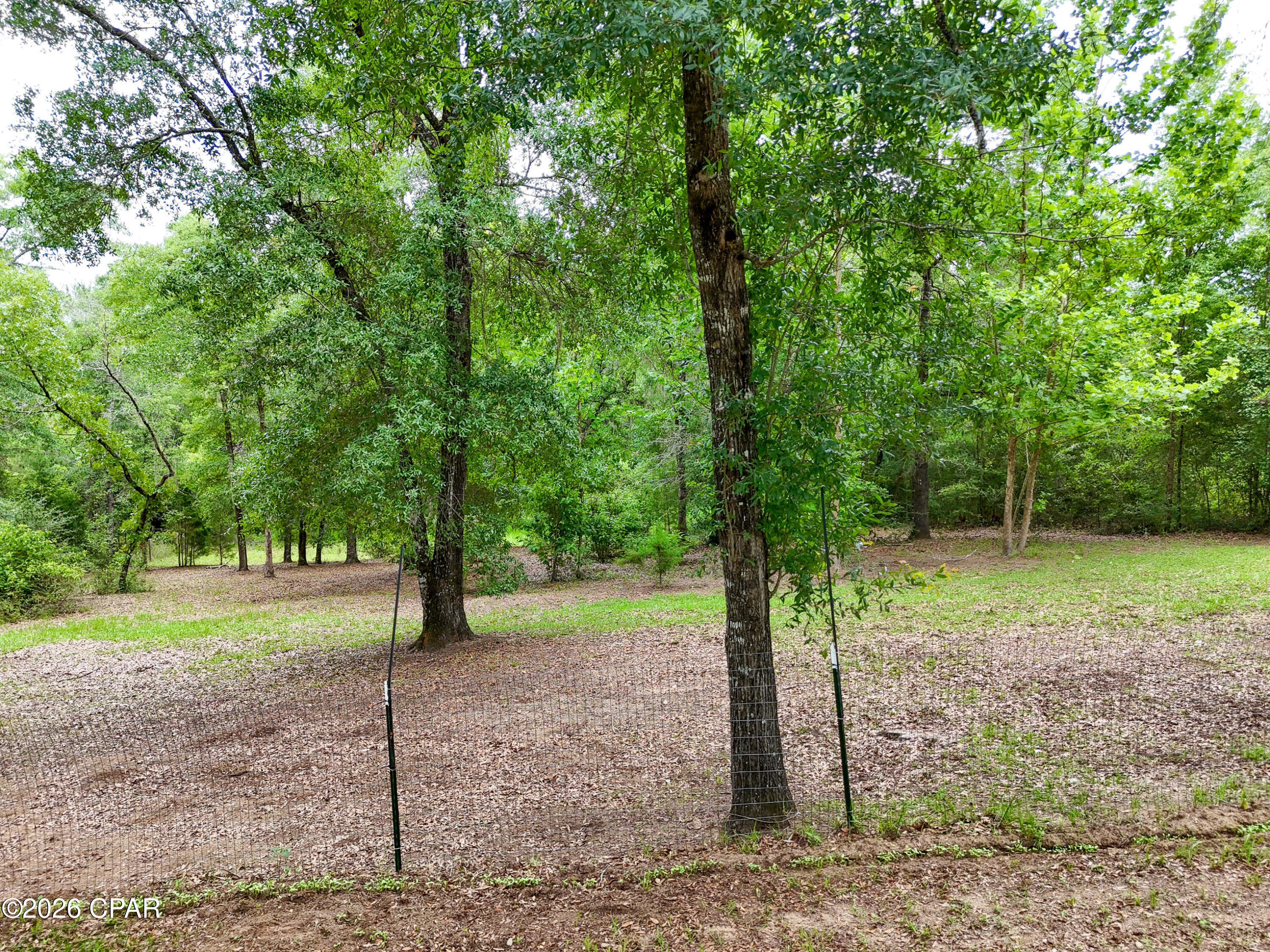 main property photo 54